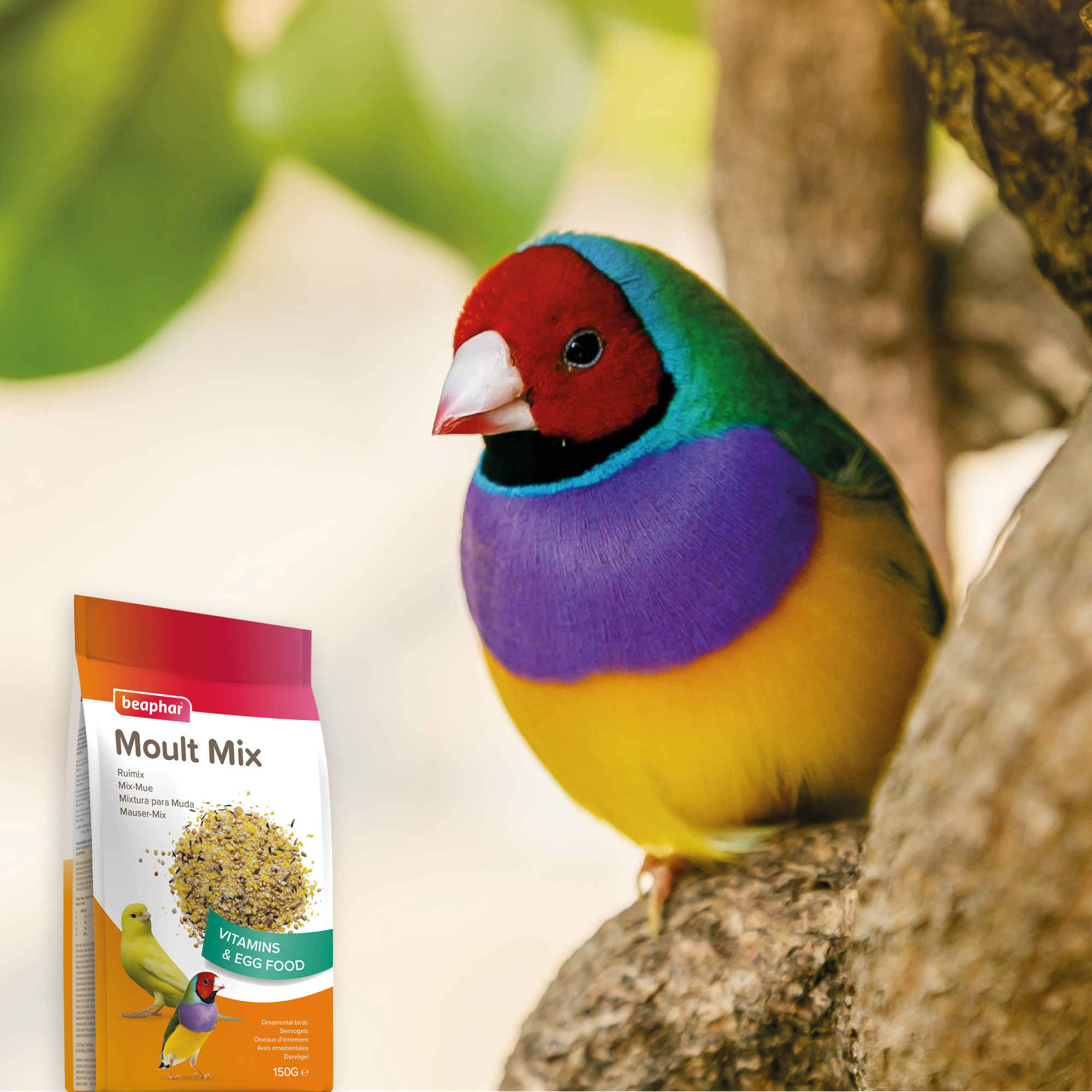 Beaphar Ruimix 150g