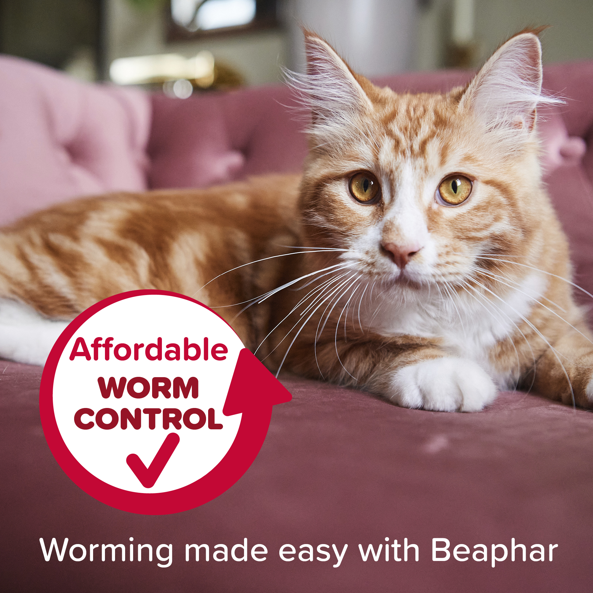 Beaphar WORMclear® Tablets for Cats - 4 Tablets