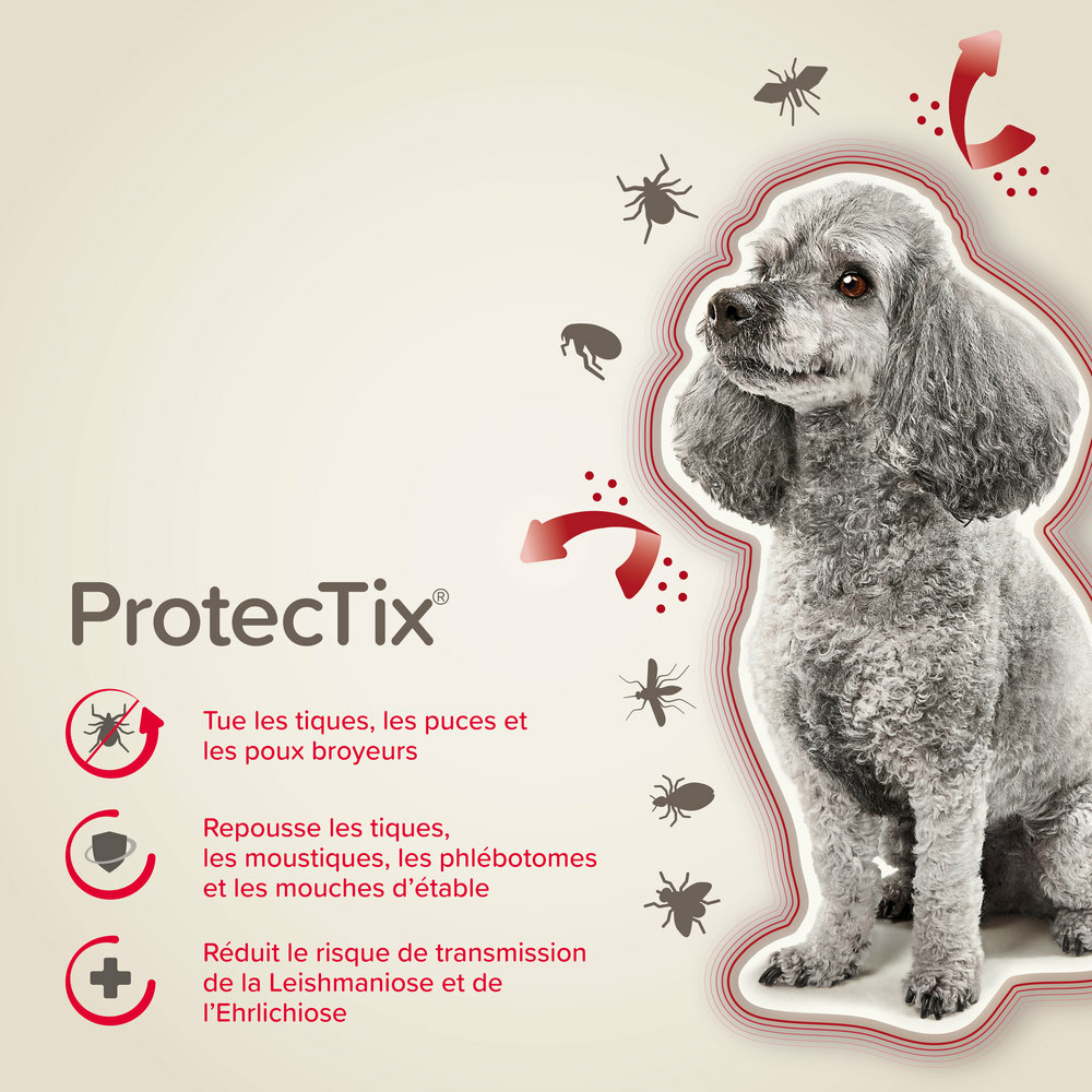 ProtecTix® 40 mg/200 mg solution pour spot-on pour chiens pesant jusqu’à 4 kg