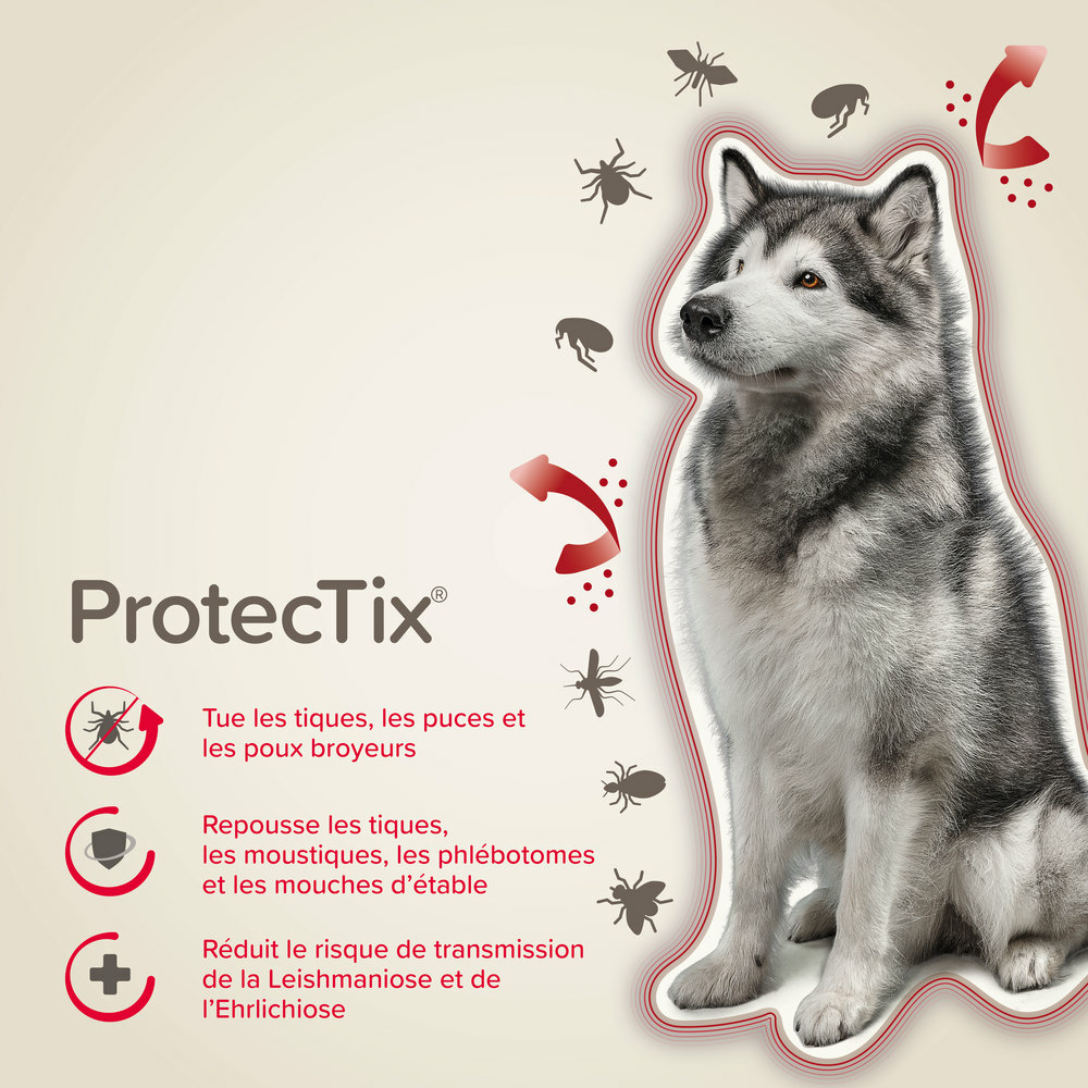 ProtecTix® 400 mg/2000 mg solution pour spot-on pour chiens pesant entre 25 et 40 kg