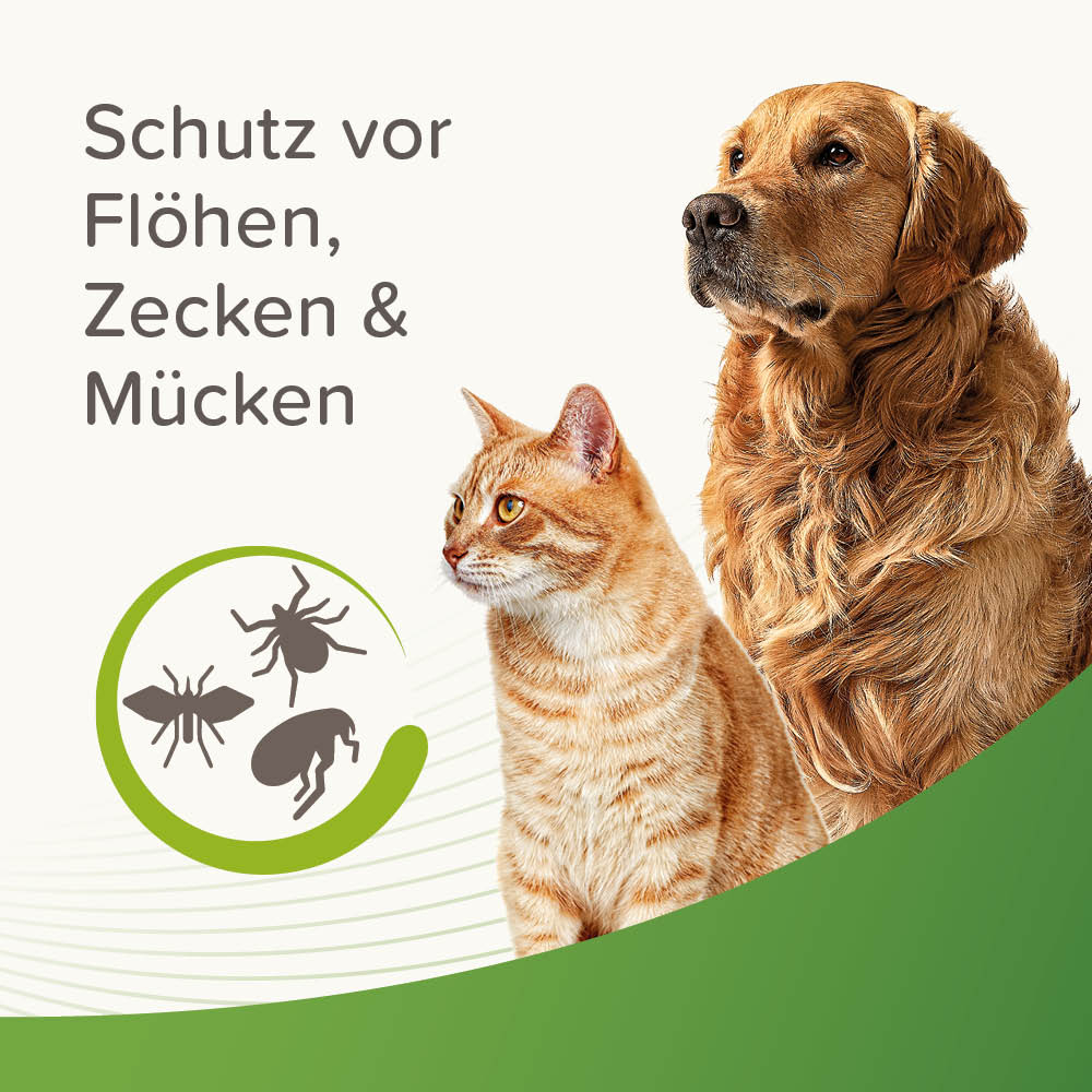 Beaphar Zecken- und Flohschutz Spray, 500ml
