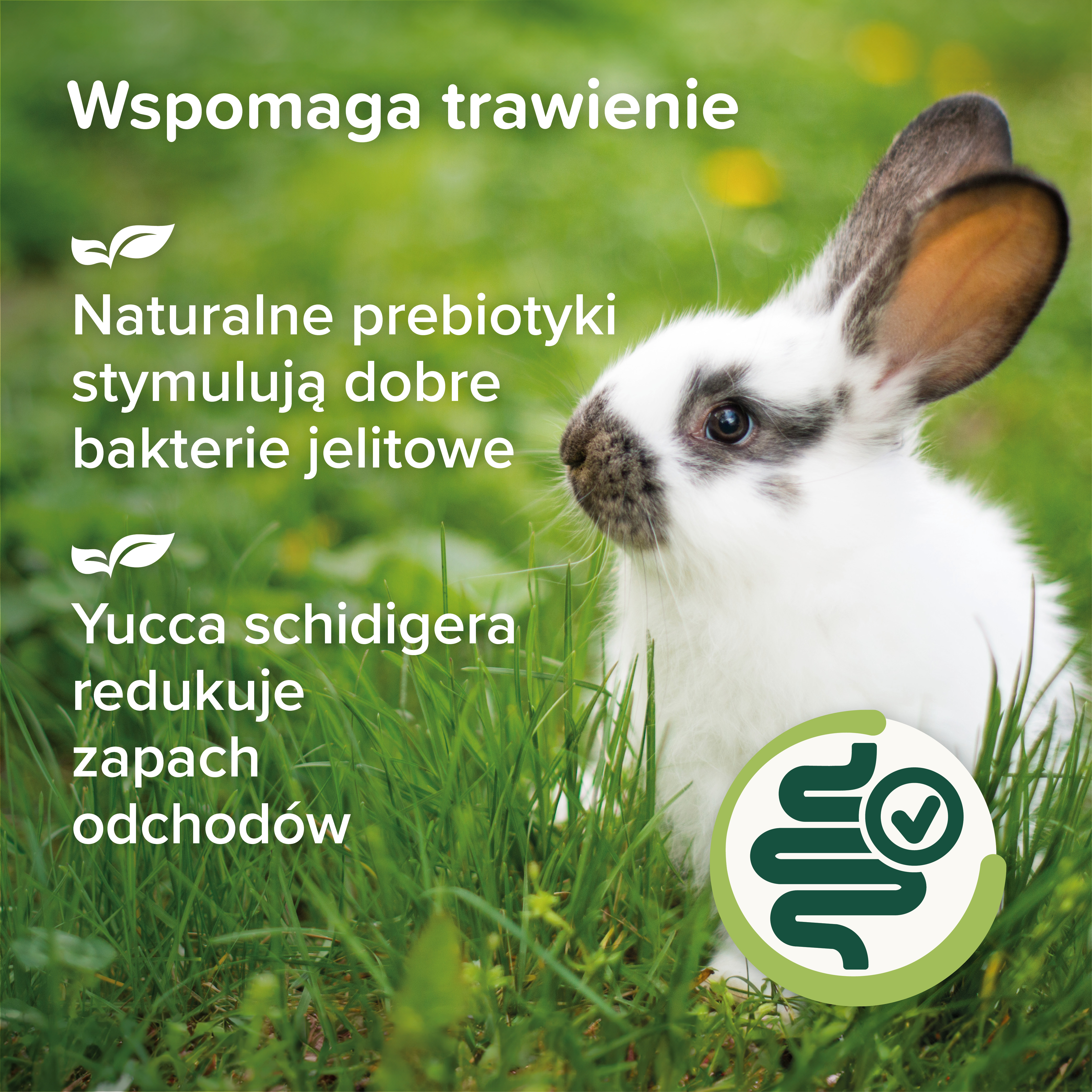Care+ Nature karma dla królików 1,5 kg