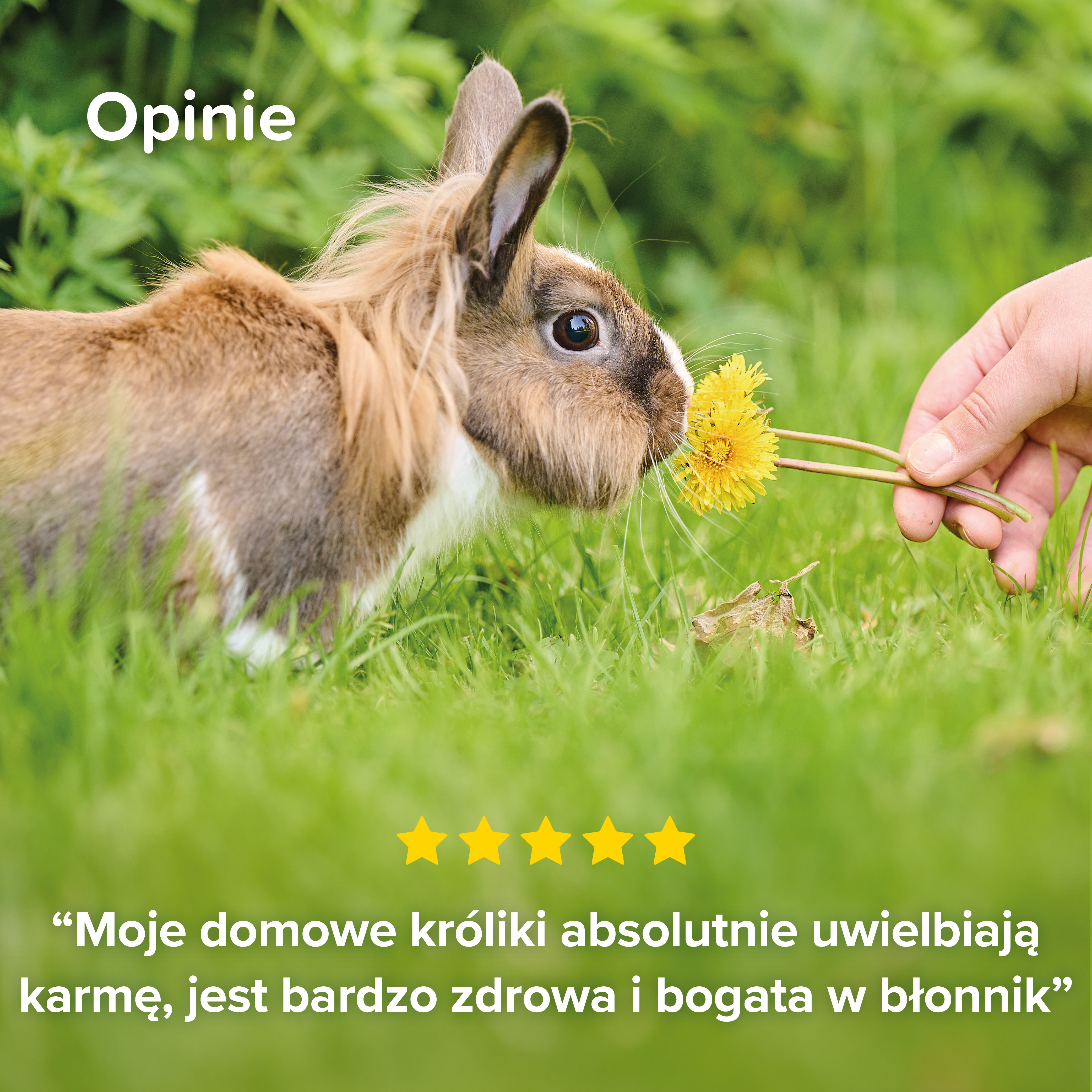 Care+ Nature karma dla królików 1,5 kg