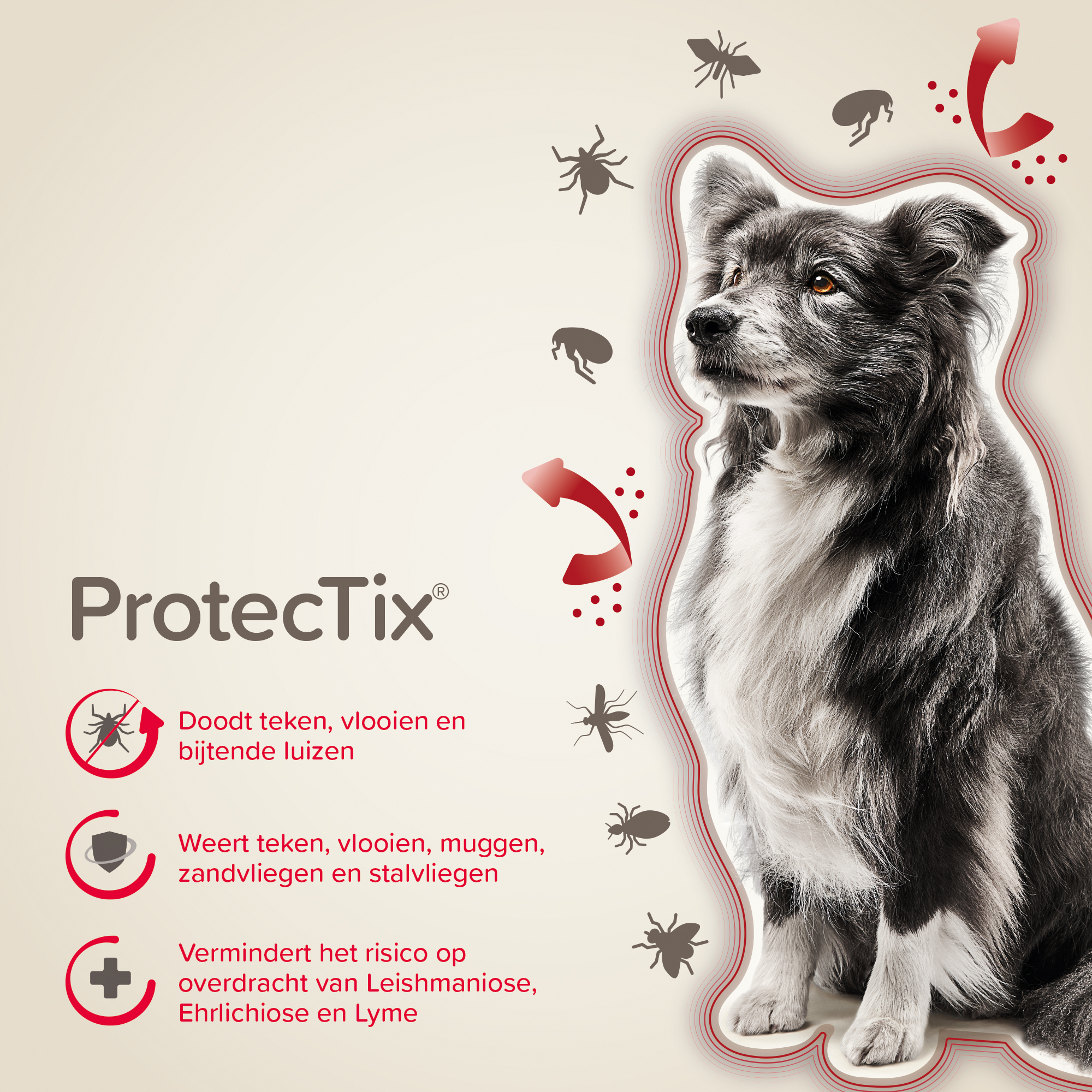 Beaphar ProtecTix® hond 10-25kg 4 pipetten