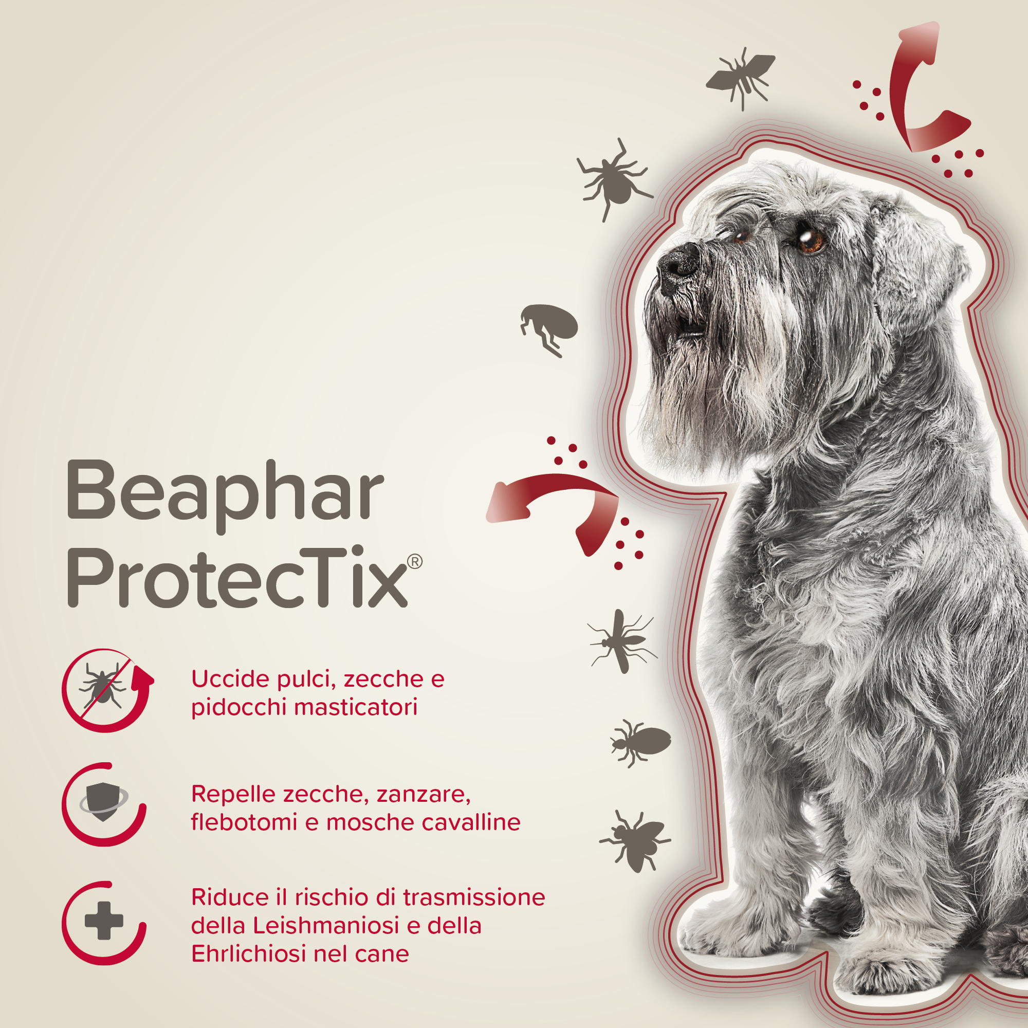 Beaphar ProtecTix Cane Piccolo 4 pip.