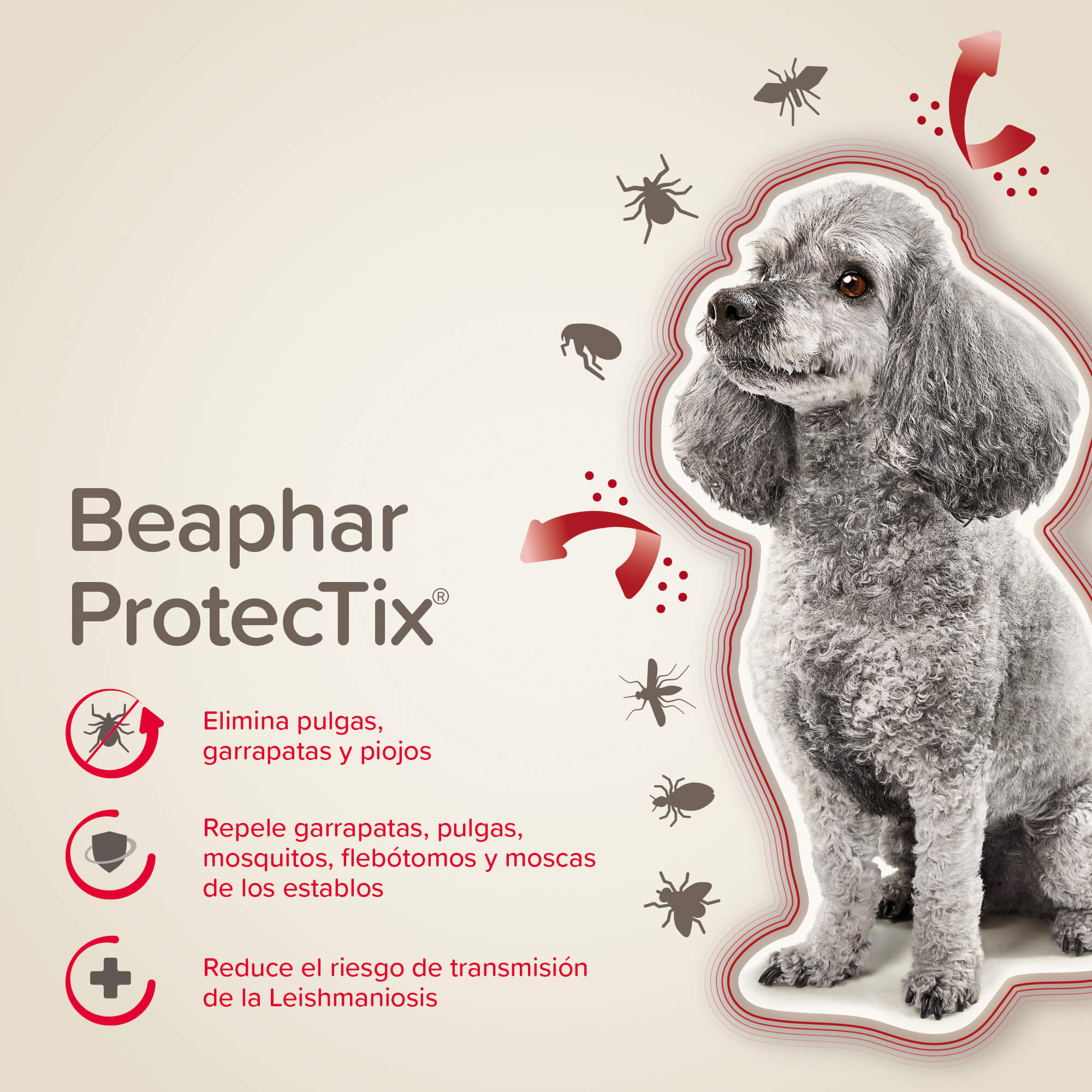 Beaphar ProtecTix® Pipetas Perros XS  (1,5-4KG)