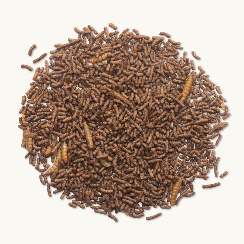 Aliment pour Hérissons - 1 kg