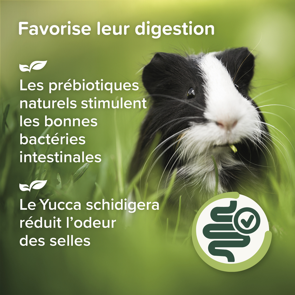 Care+® Nature, Aliment Premium pour Cochon d'Inde - 1,5 kg