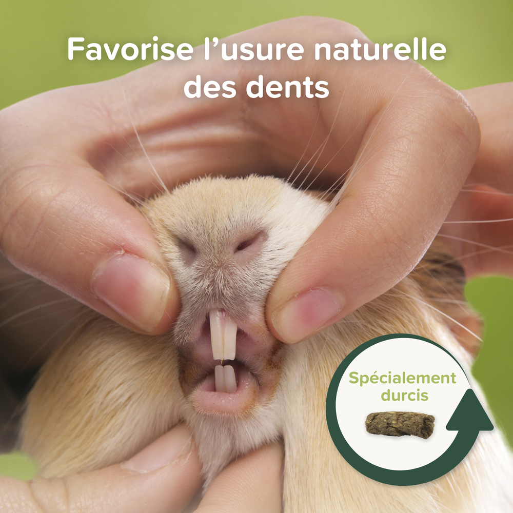Care+® Nature, Aliment Premium pour Cochon d'Inde - 1,5 kg