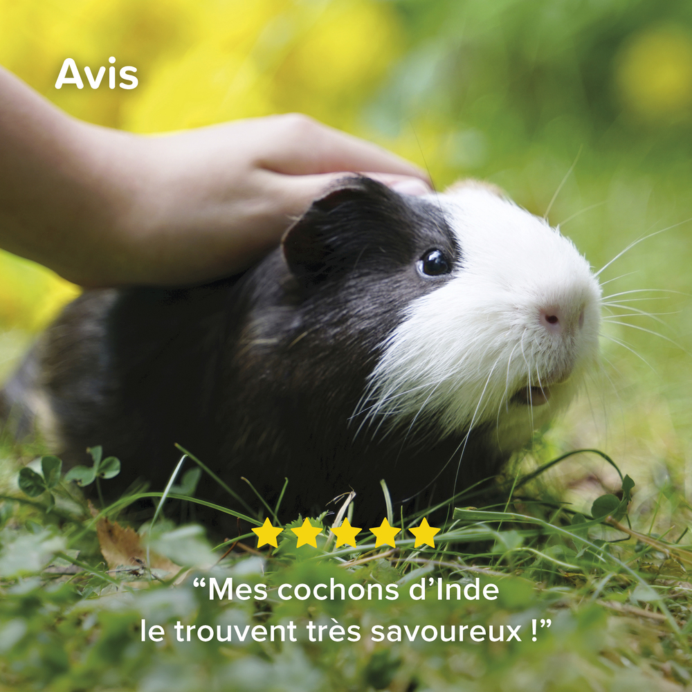 Care+® Nature, Aliment Premium pour Cochon d'Inde - 1,5 kg