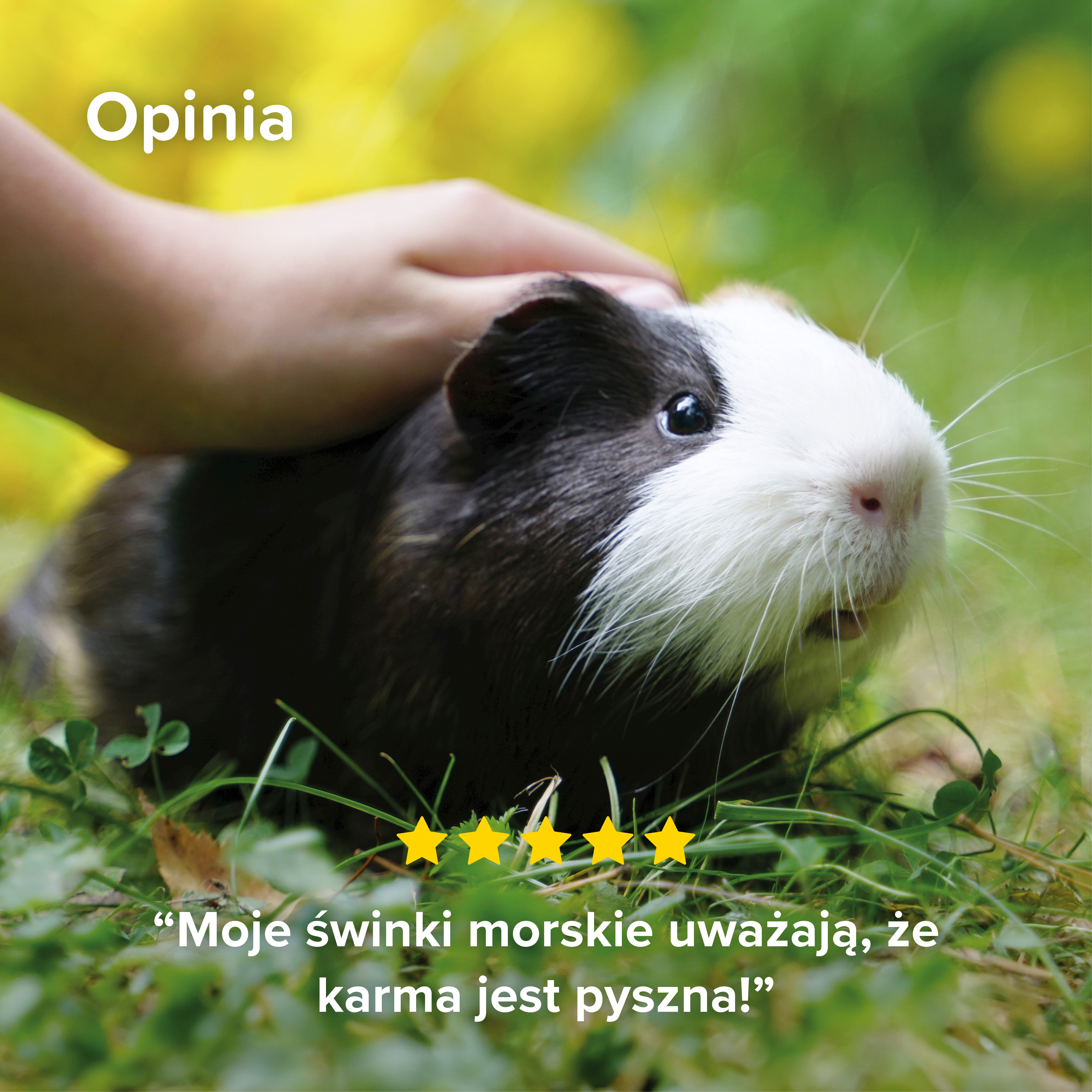 Care+ Nature karma dla świnek morskich 1,5 kg