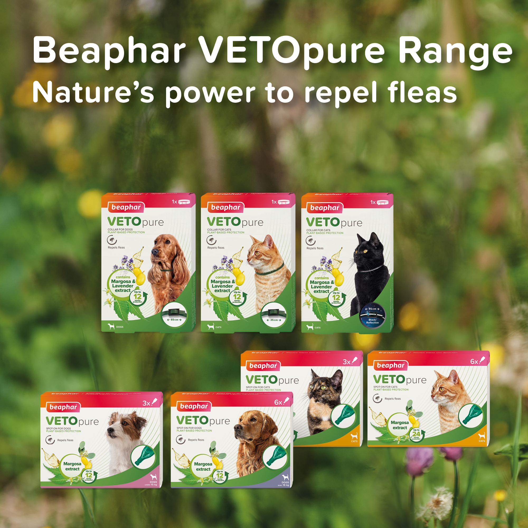 Beaphar VETOpure Plant-Based Reflective Flea Repellent Collar for Cats, 35cm