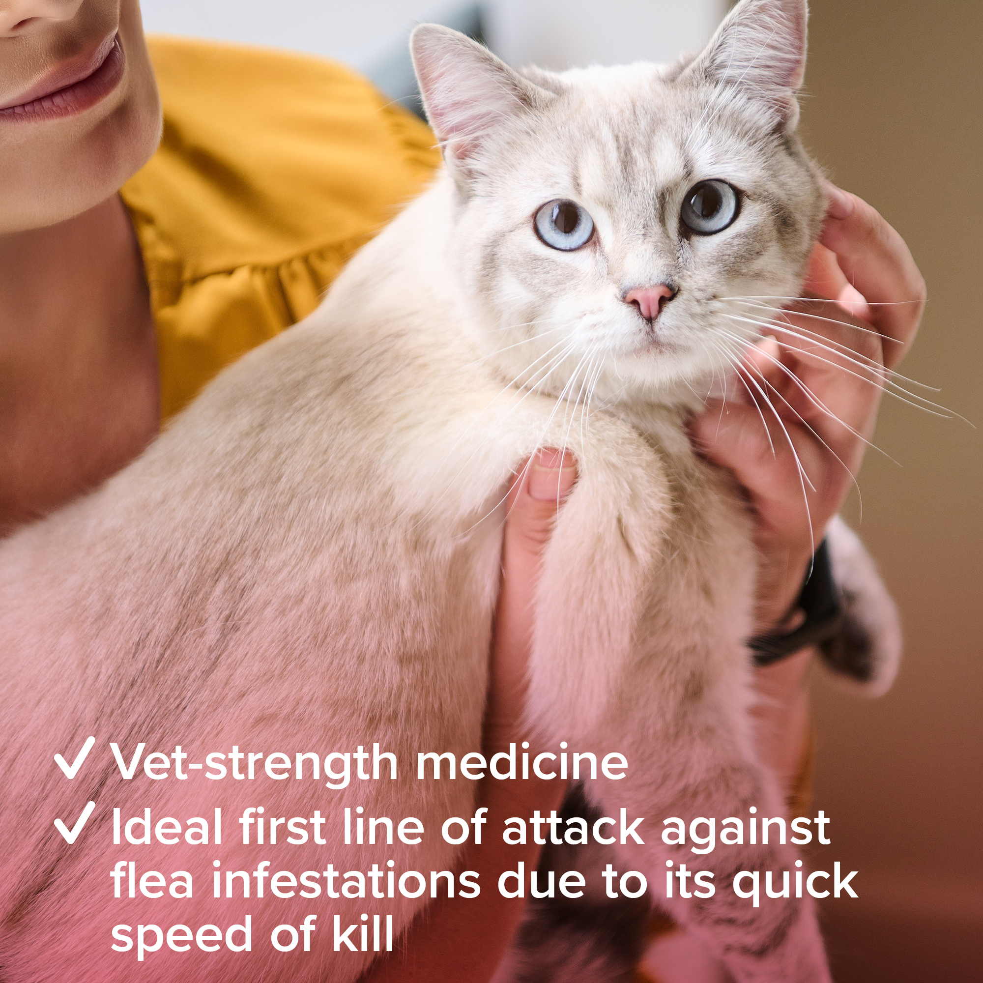 Beaphar Flea Tablets for Cats - 3 Tablets