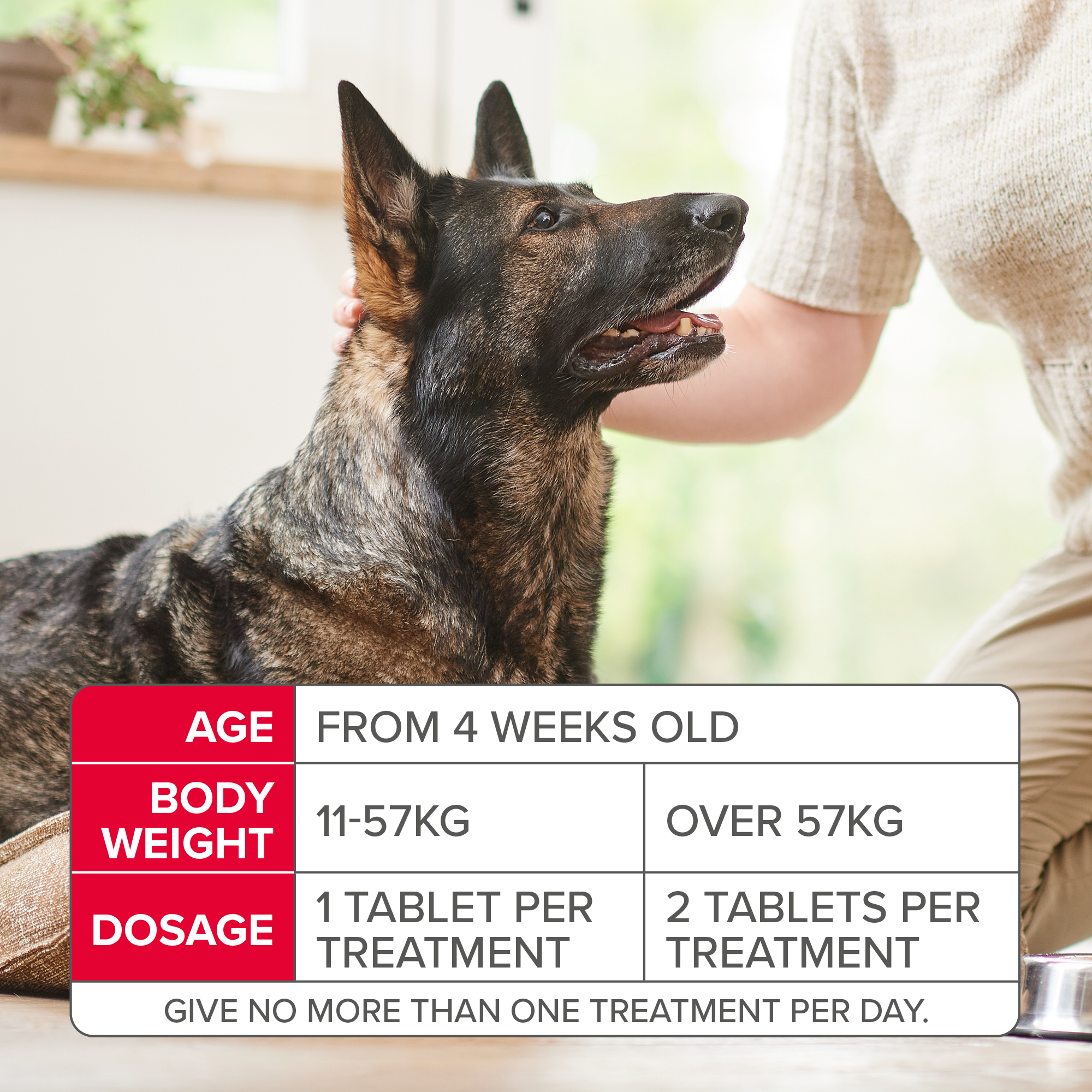 Beaphar Flea Tablets for Medium & Large Dogs (Over 11kg)