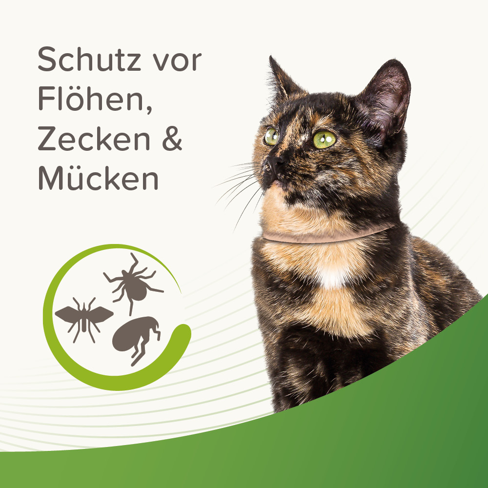 Beaphar Zecken- und Flohschutz Halsband 35cm, Katze, beige