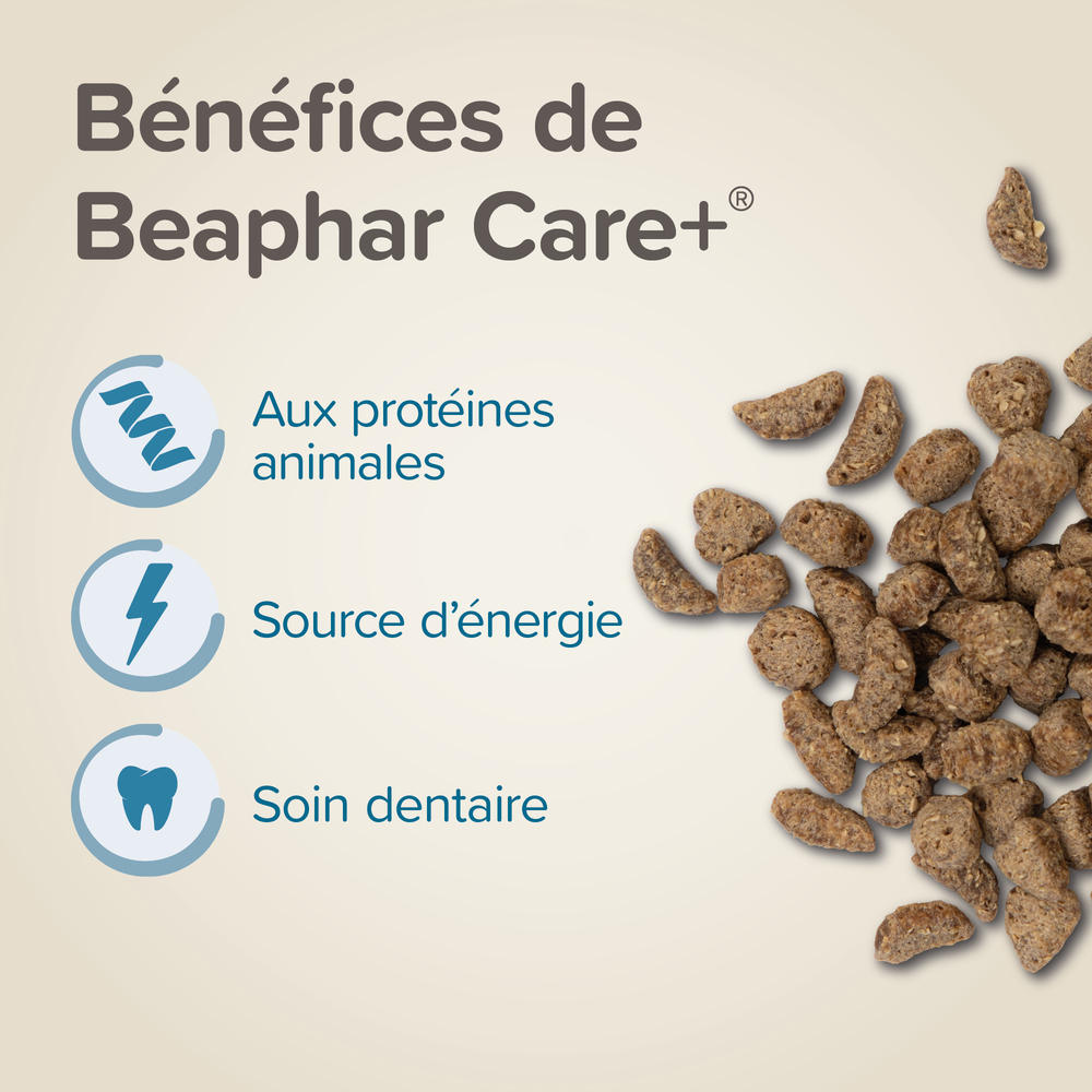 Care+®, Alimentation super premium pour Hamster nain – 500 g