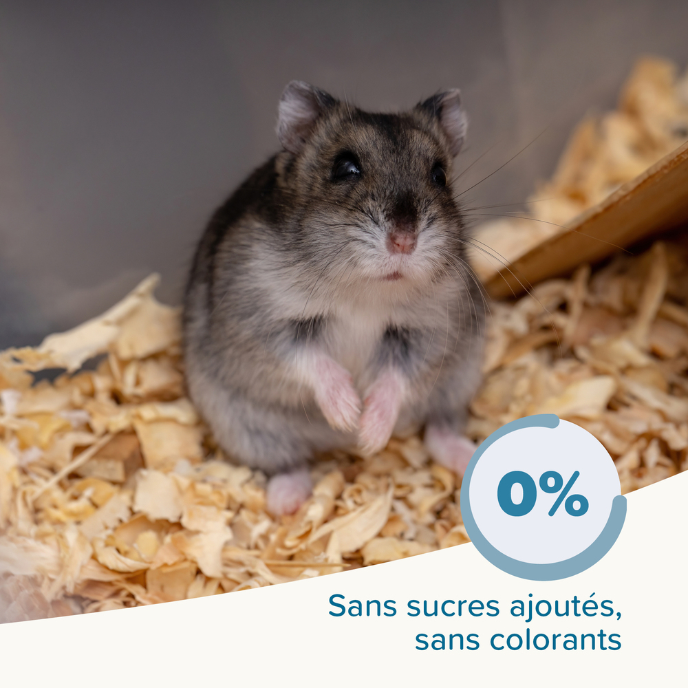 Care+®, Alimentation super premium pour Hamster nain – 500 g