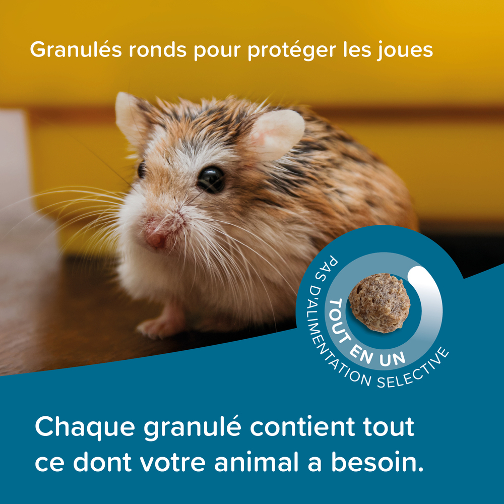 Care+®, Alimentation super premium pour Hamster nain – 500 g
