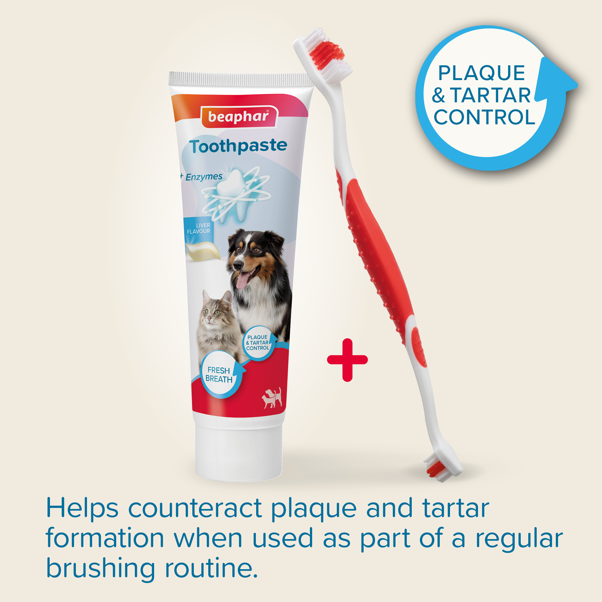 Beaphar Toothbrush & Toothpaste Dental Care Kit for Cats and Dogs, 1 x toothbrush and 1 x 100g toothpaste