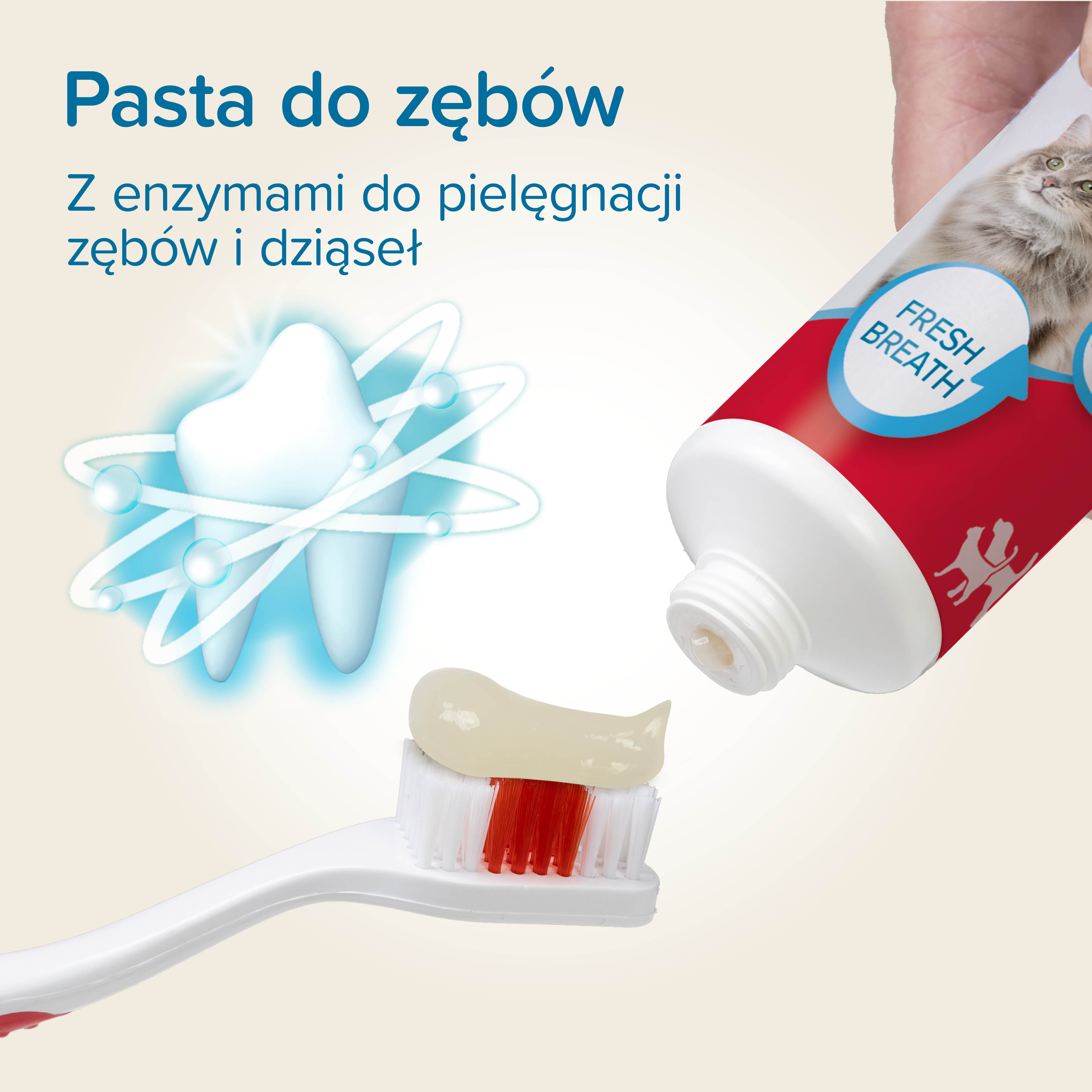TOOTH COMBIPACK - zestaw: pasta do zębów 100g + szczoteczka dla dorosłego psa/kota