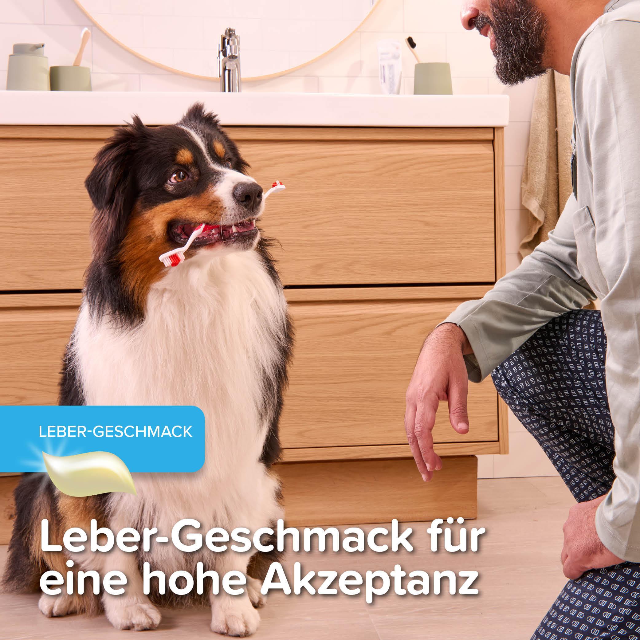 Beaphar Zahnpflege Set (Zahnpasta & Bürste)