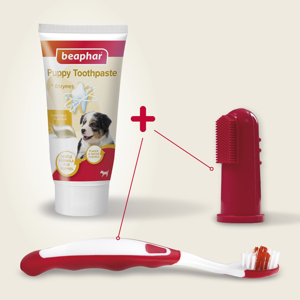 Tandpasta & Tandenborstel Puppy 50g