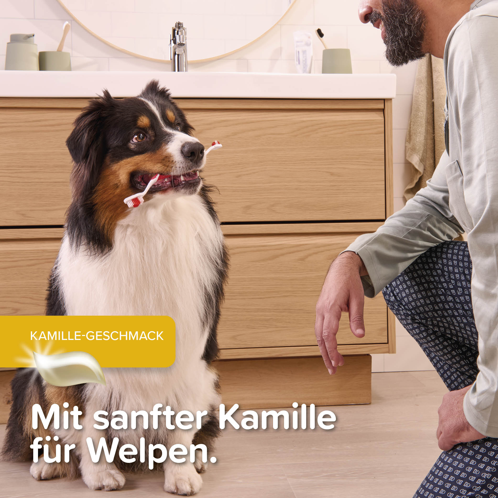 Beaphar Zahnpflege Set für Welpen
