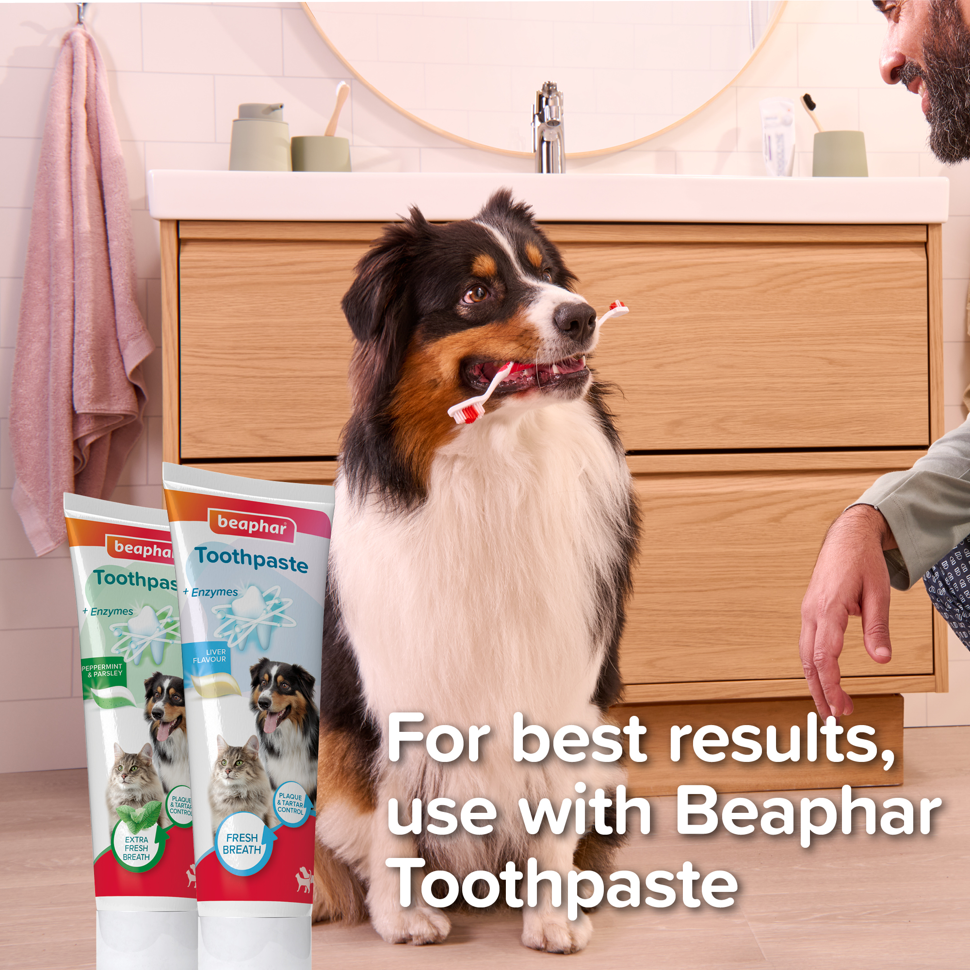 Beaphar Double-Ended Toothbrush for Cats and Dogs, 1 brush