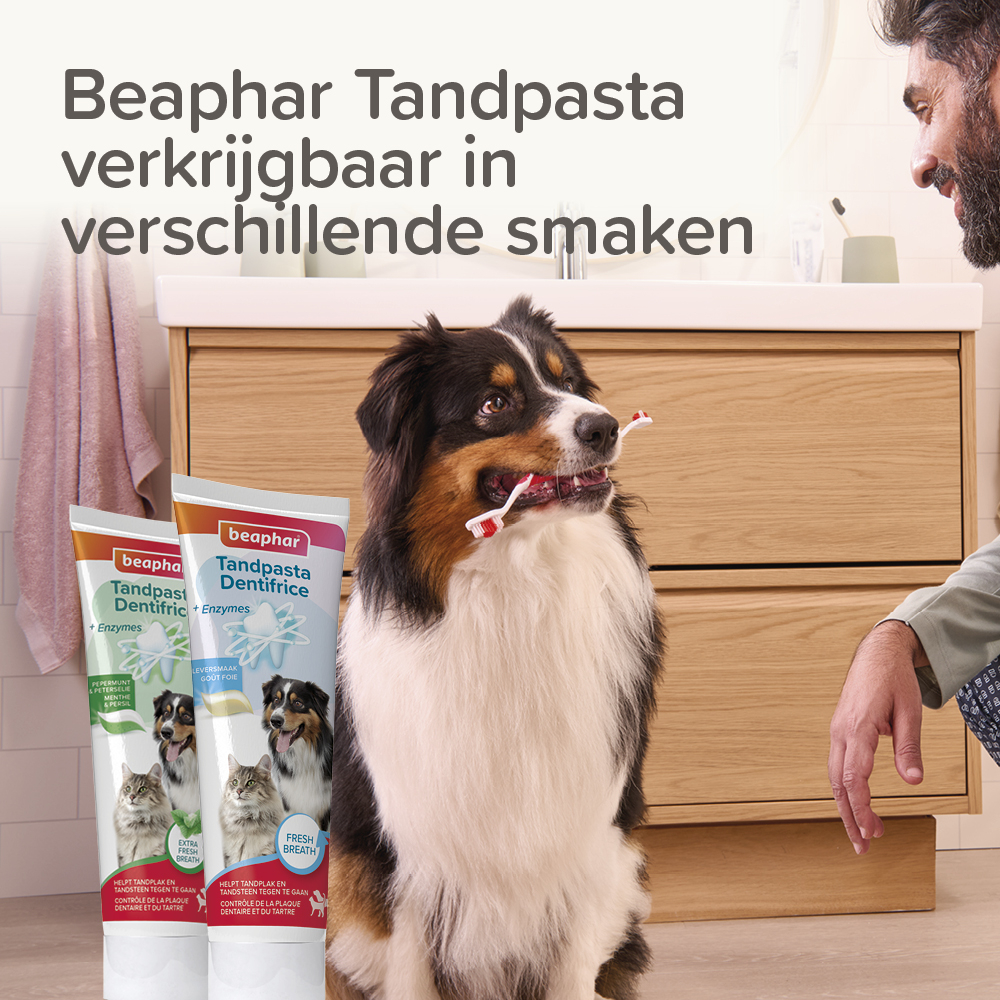 Beaphar Vingertandenborstel 2 stuks
