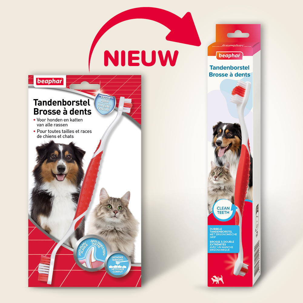 Tandenborstel