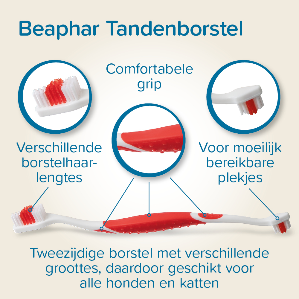 Tandenborstel