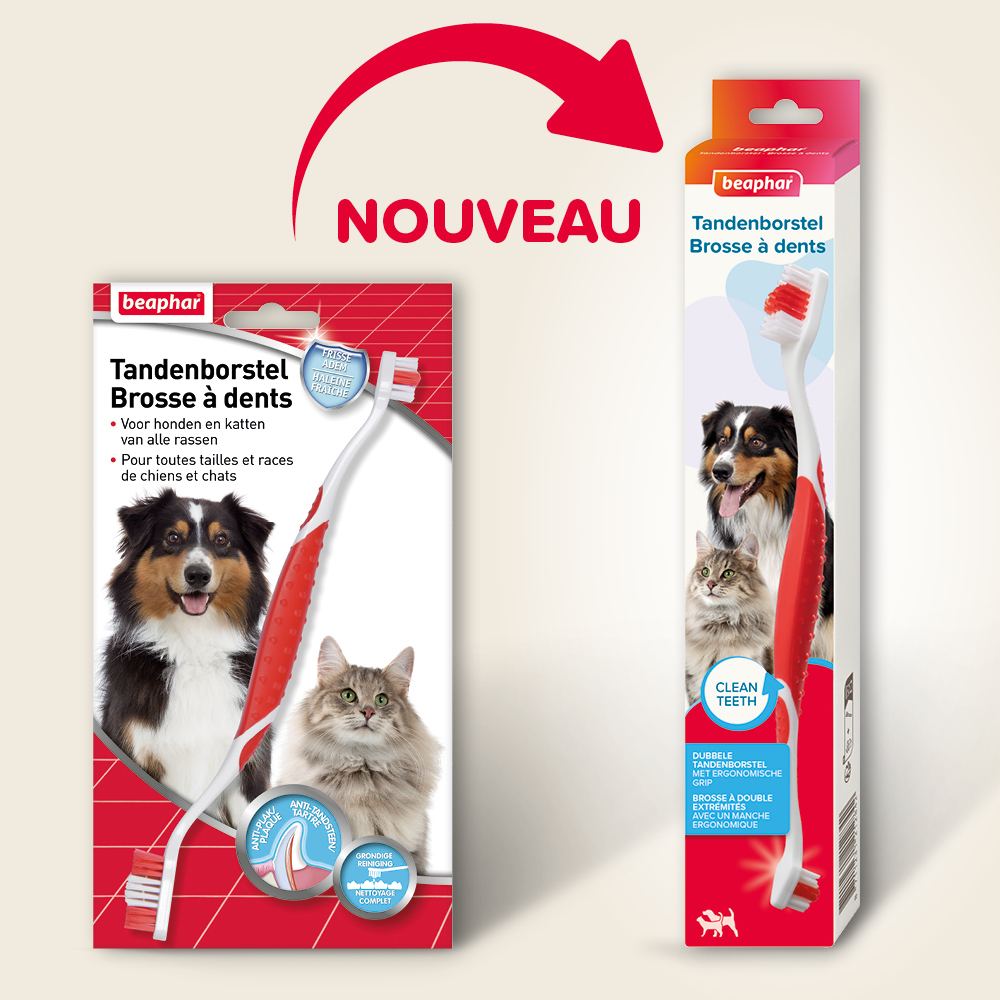 Brosse à dents