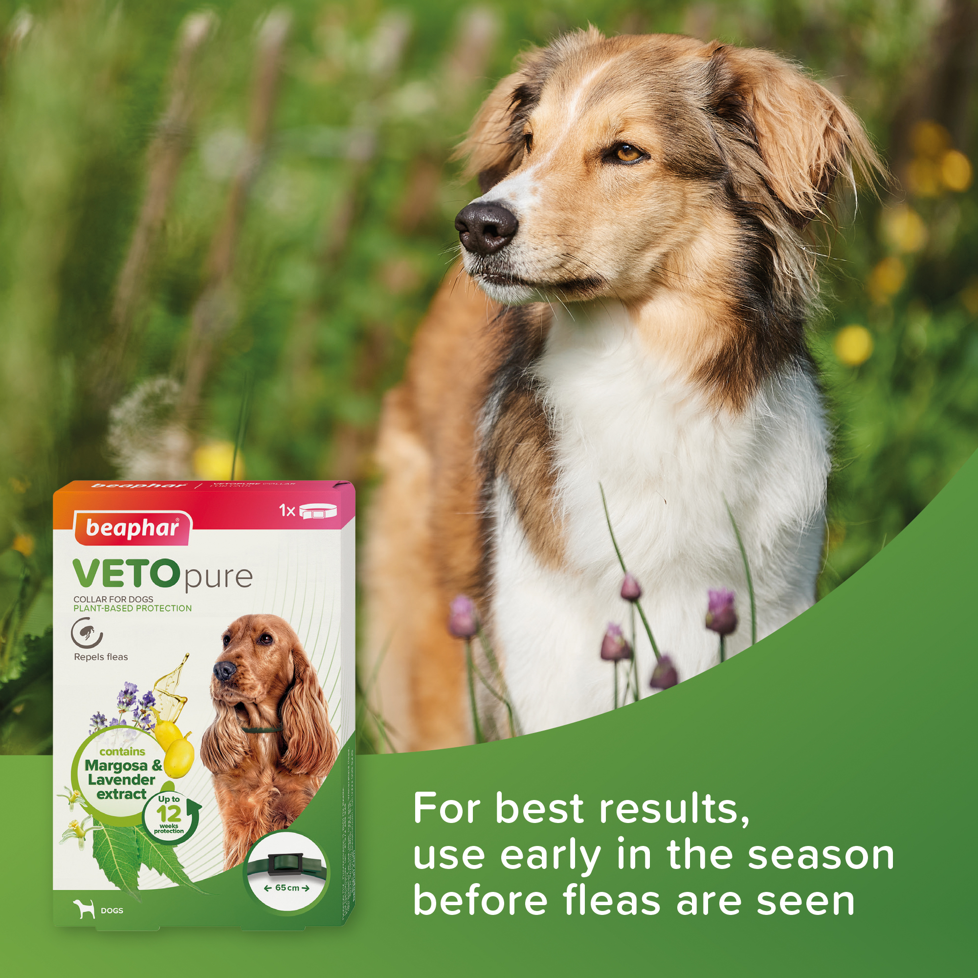 Beaphar VETOpure Plant-Based Flea Flea Repellent Collar for Dogs, 65cm