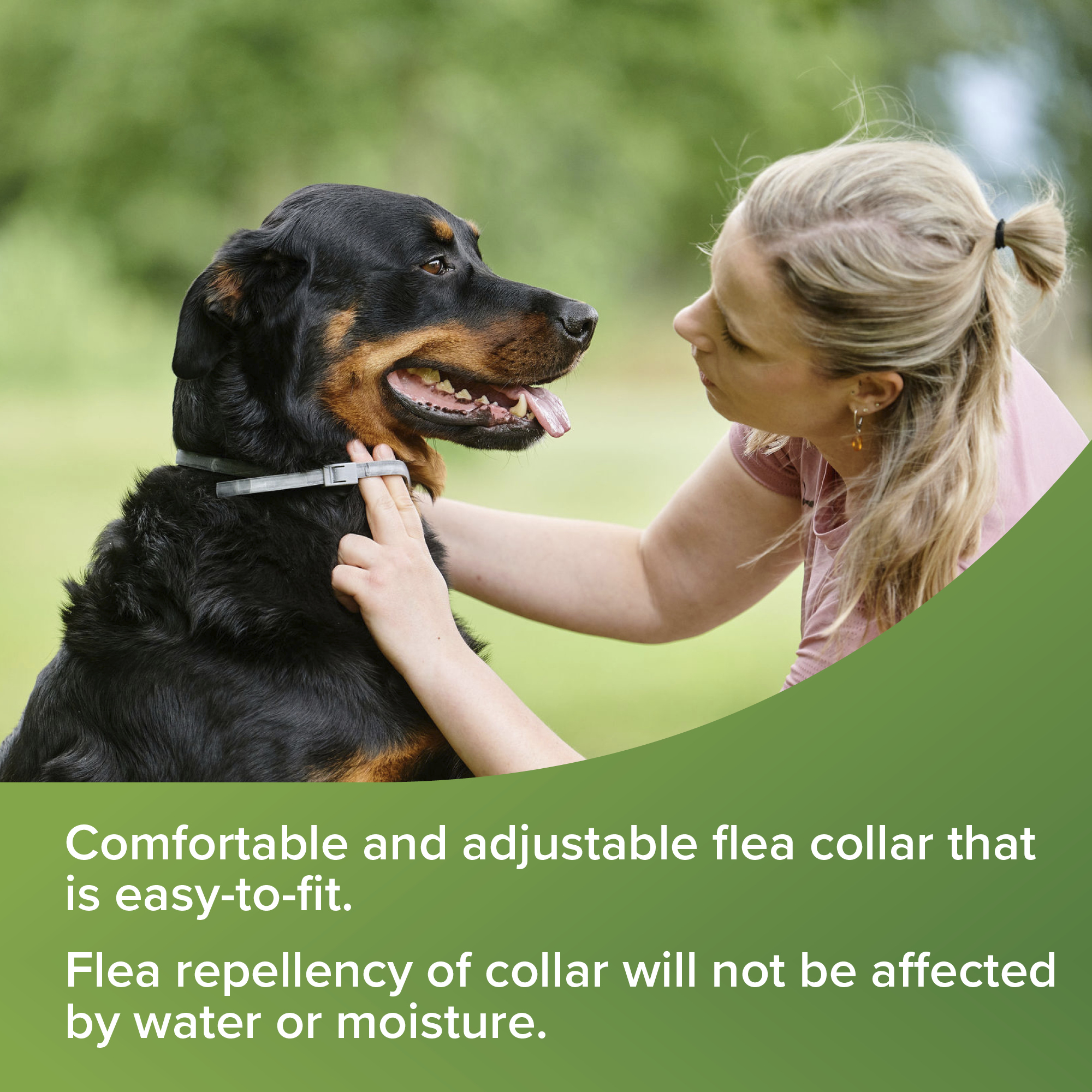 Beaphar VETOpure Plant-Based Flea Flea Repellent Collar for Dogs, 65cm
