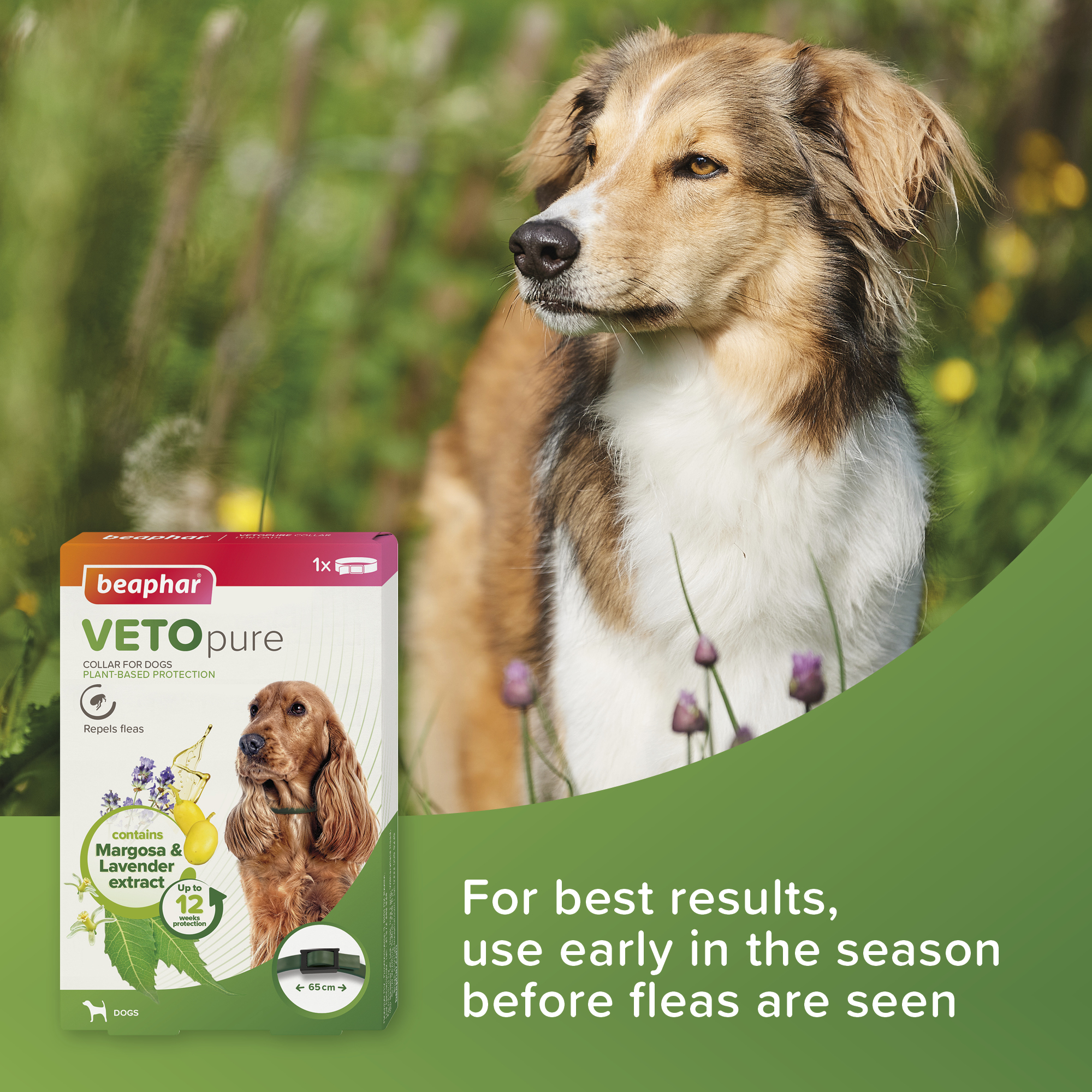 Beaphar VETOpure Plant-Based Flea Flea Repellent Collar for Dogs, 65cm