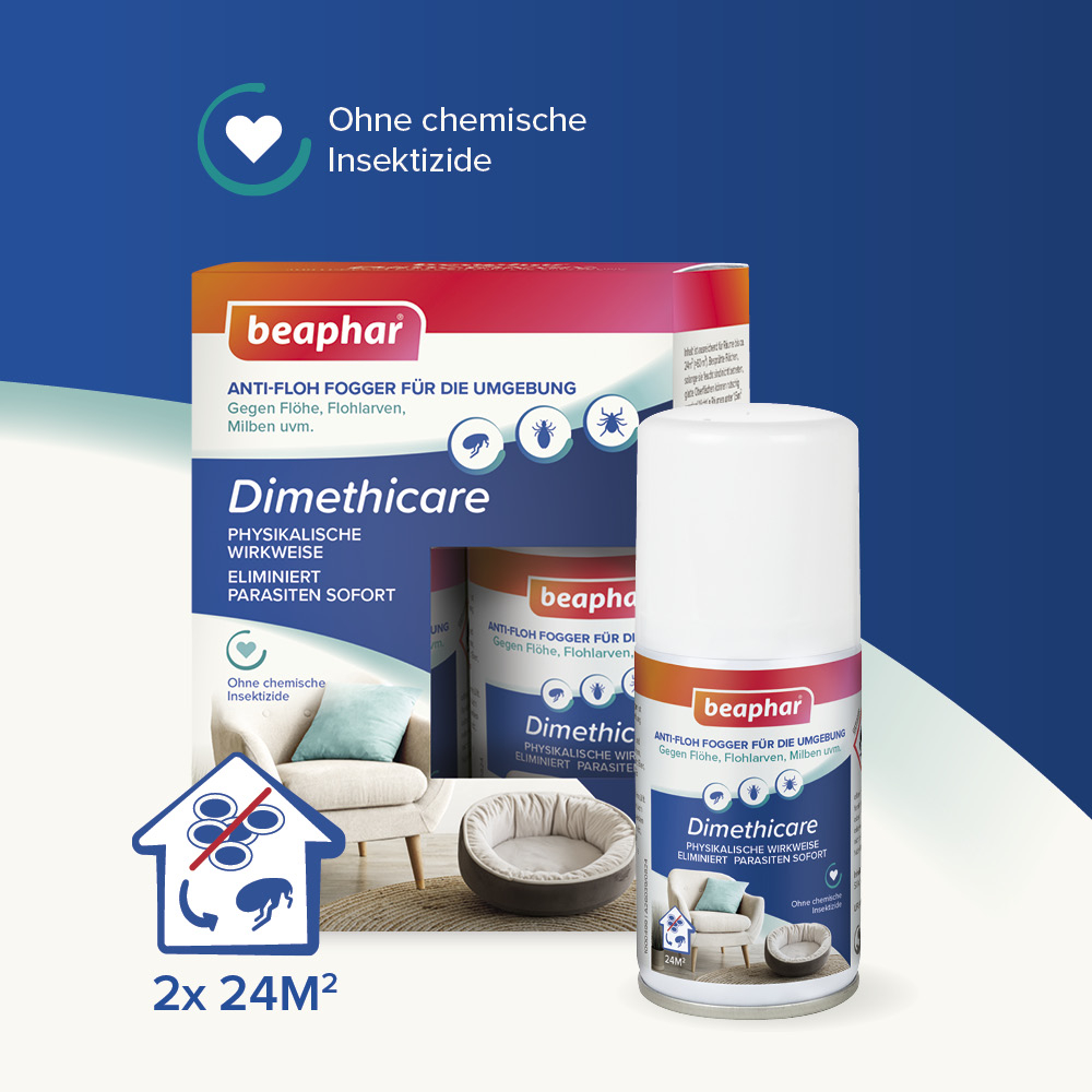 Dimethicare Anti-Floh Mini-Fogger, 2x75ml