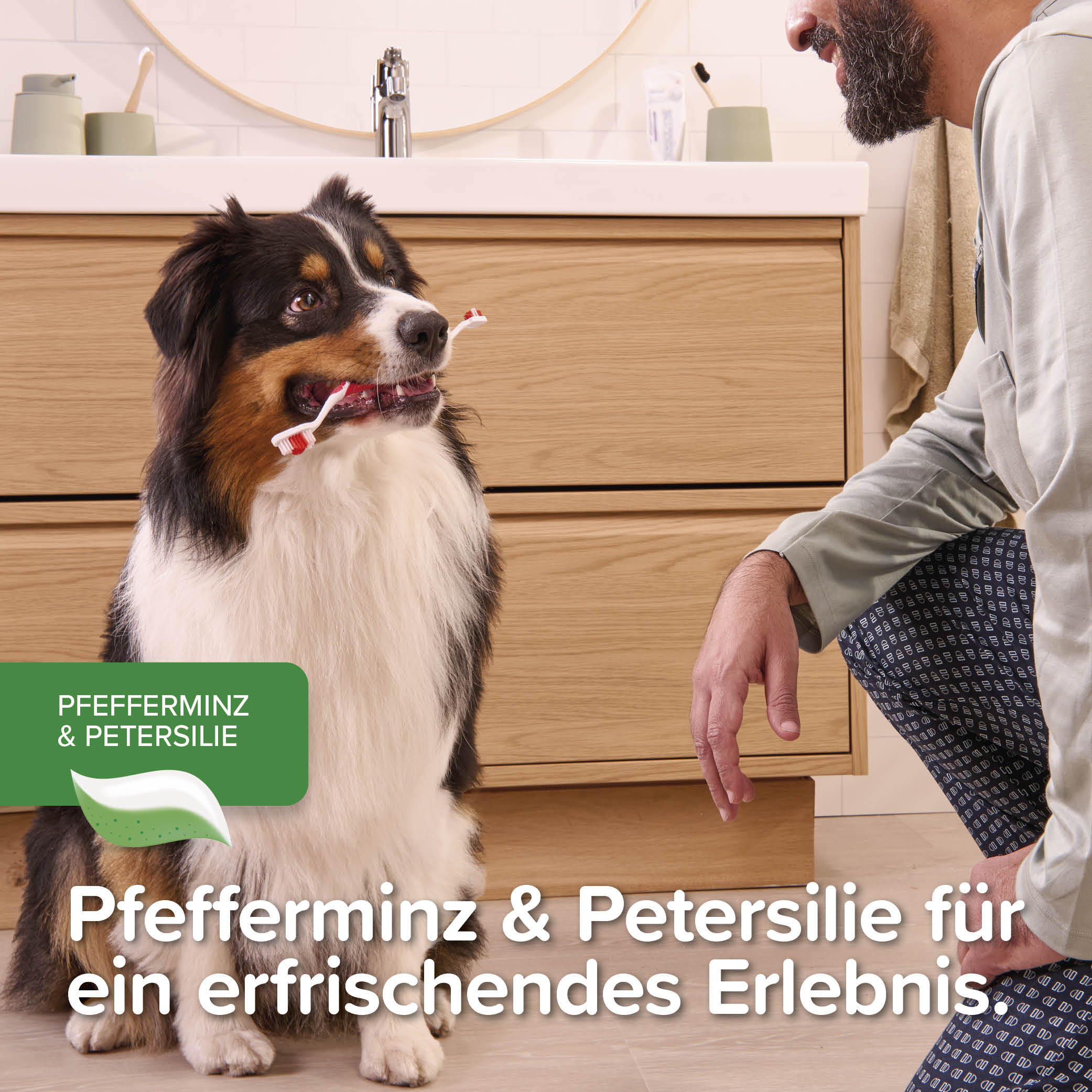 Beaphar Zahnpasta Pfefferminz & Petersilie, 100g