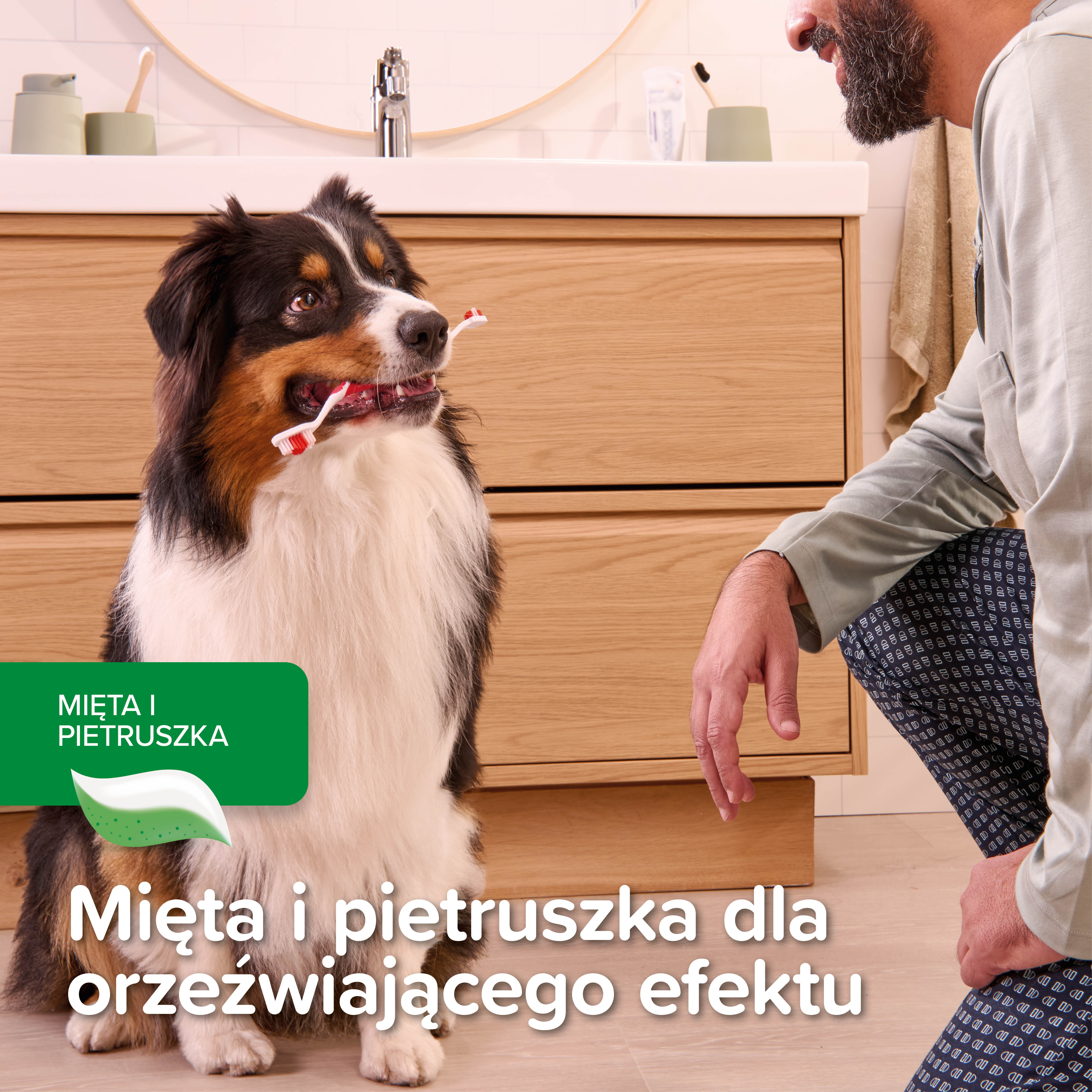 TOOTHPASTE MINT & PARSLEY - pasta do zębów - mięta/ pietruszka dla kotów i psów 100g