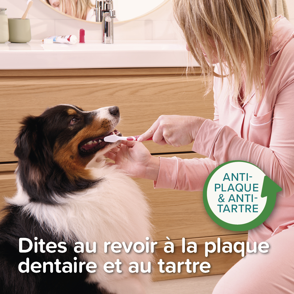 Dentifrice Menthe & Persil – 100 g