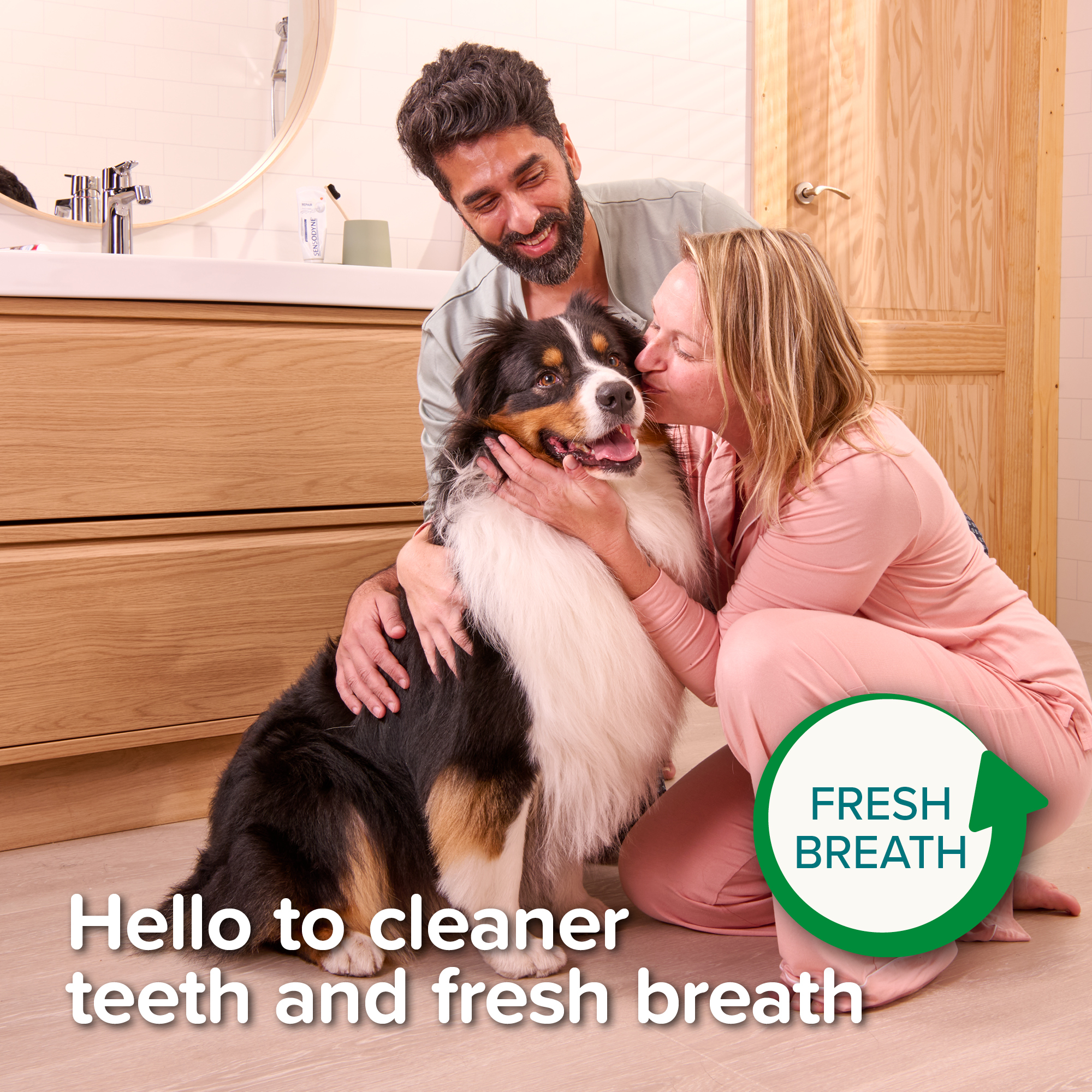 Beaphar Doubled-Ended Bamboo Toothbrush for Cats and Dogs, 1 brush