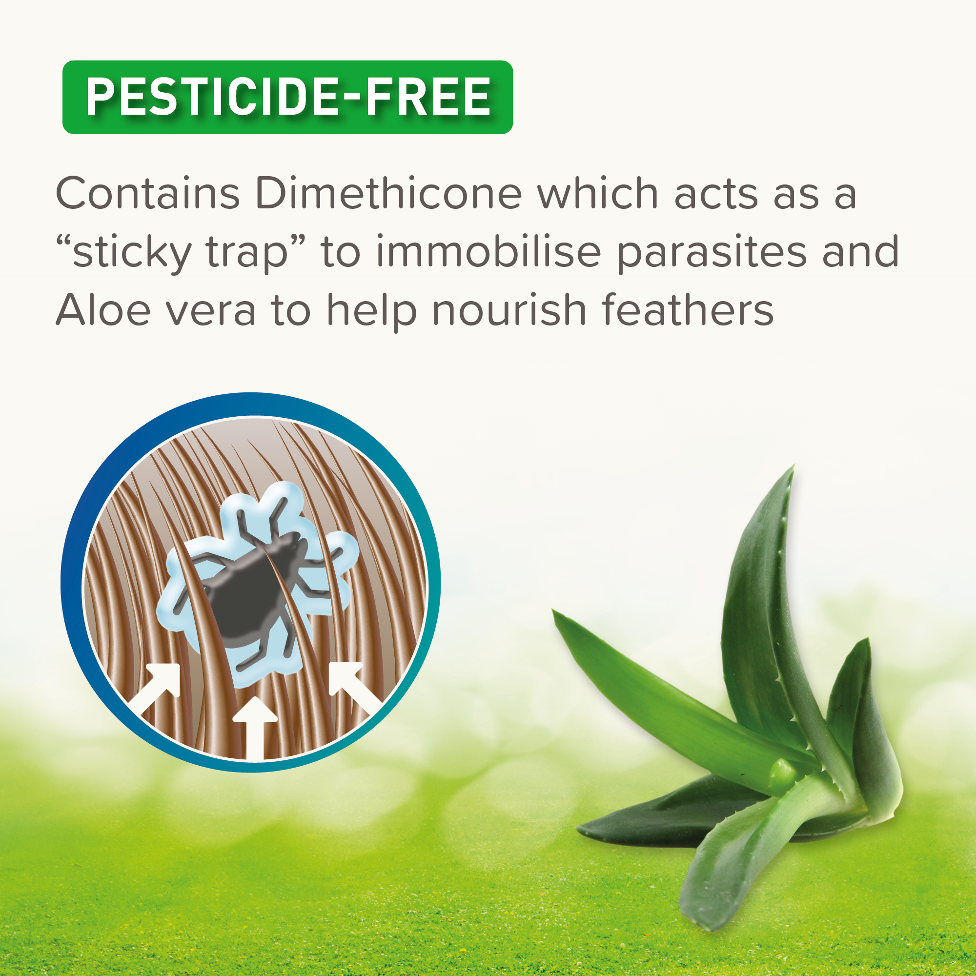 Beaphar Dimethicare Mite Blocker for Chickens, Aviary Birds & their Housing, 500ml