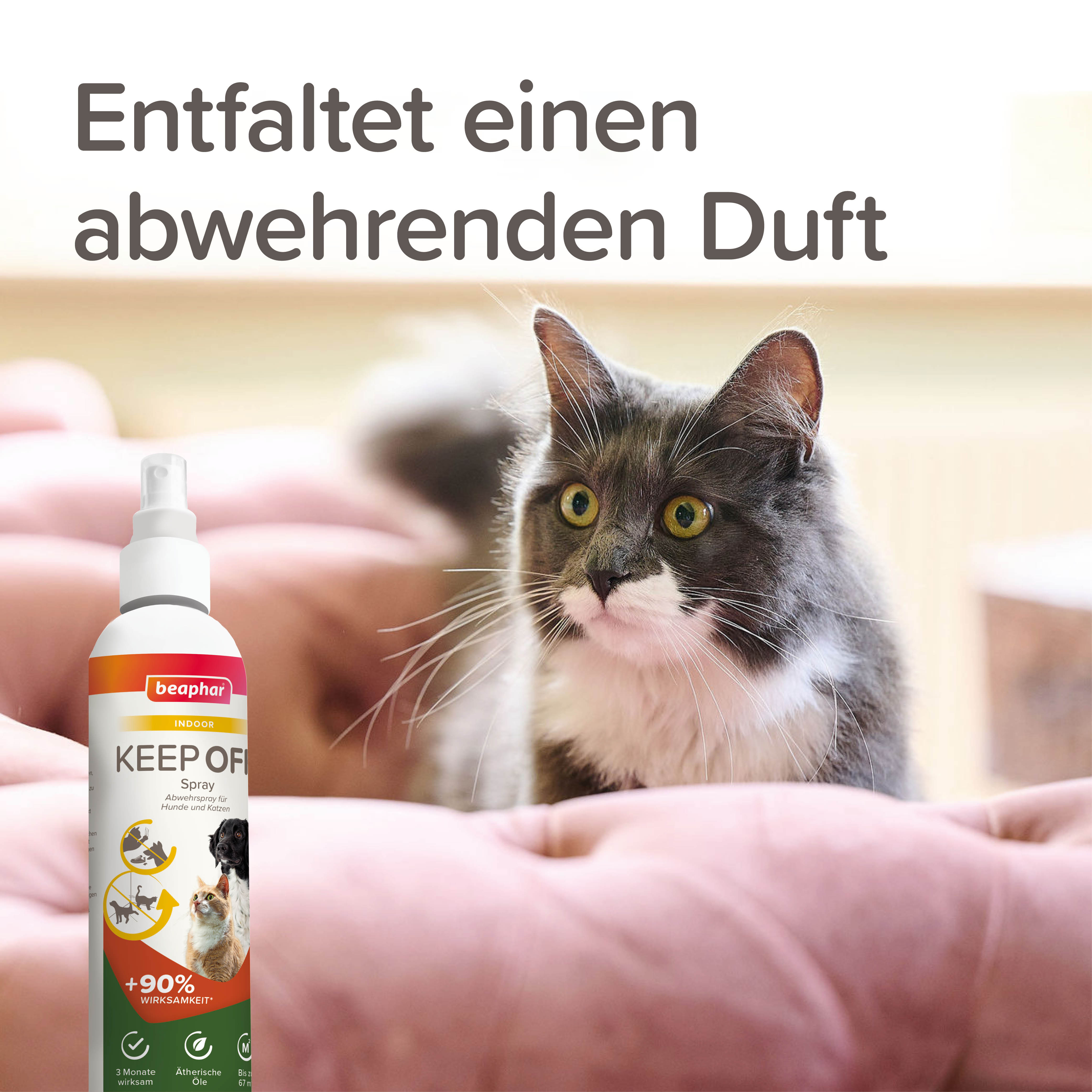KEEP OFF Abwehrspray für Hunde und Katzen, 200ml