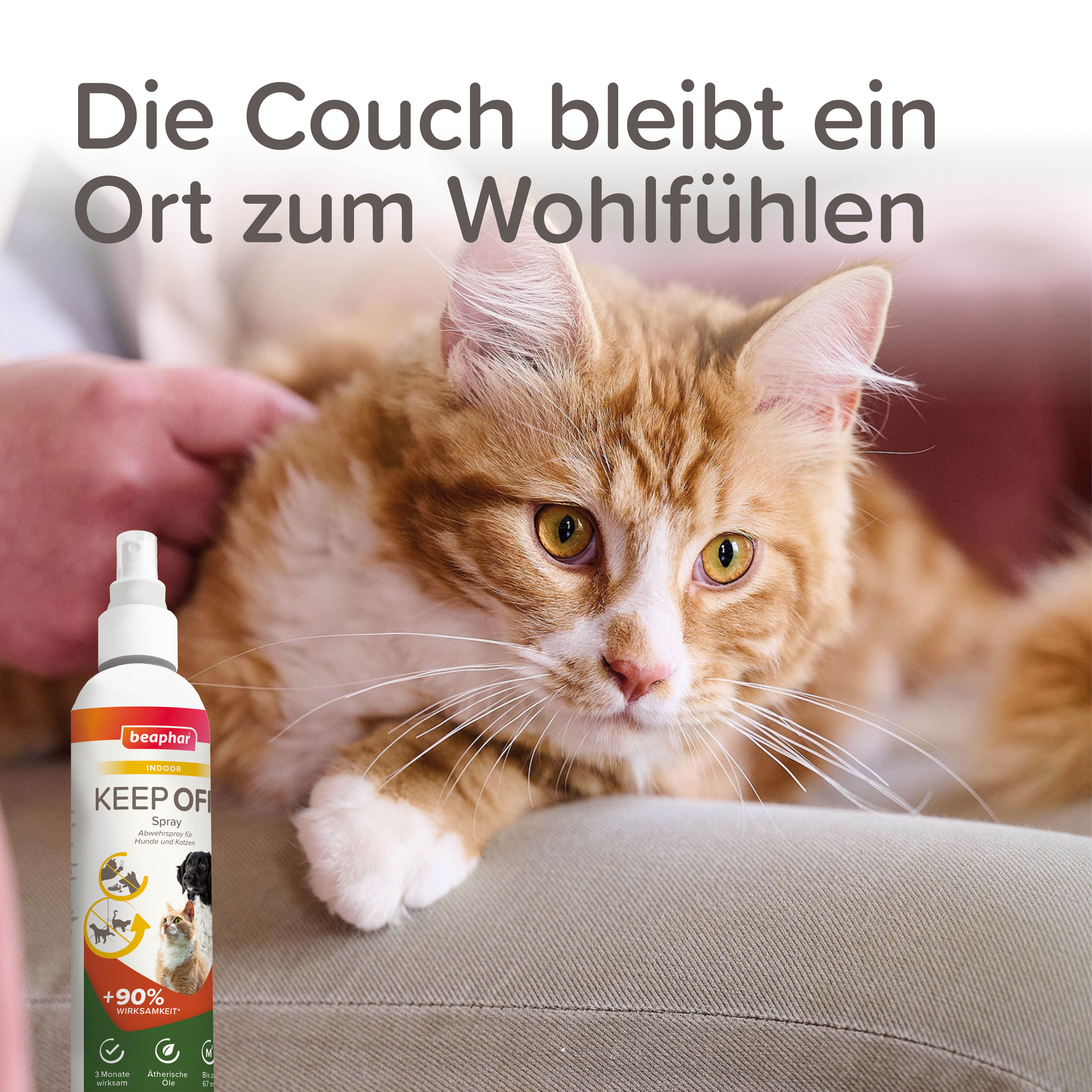 KEEP OFF Abwehrspray für Hunde und Katzen, 200ml