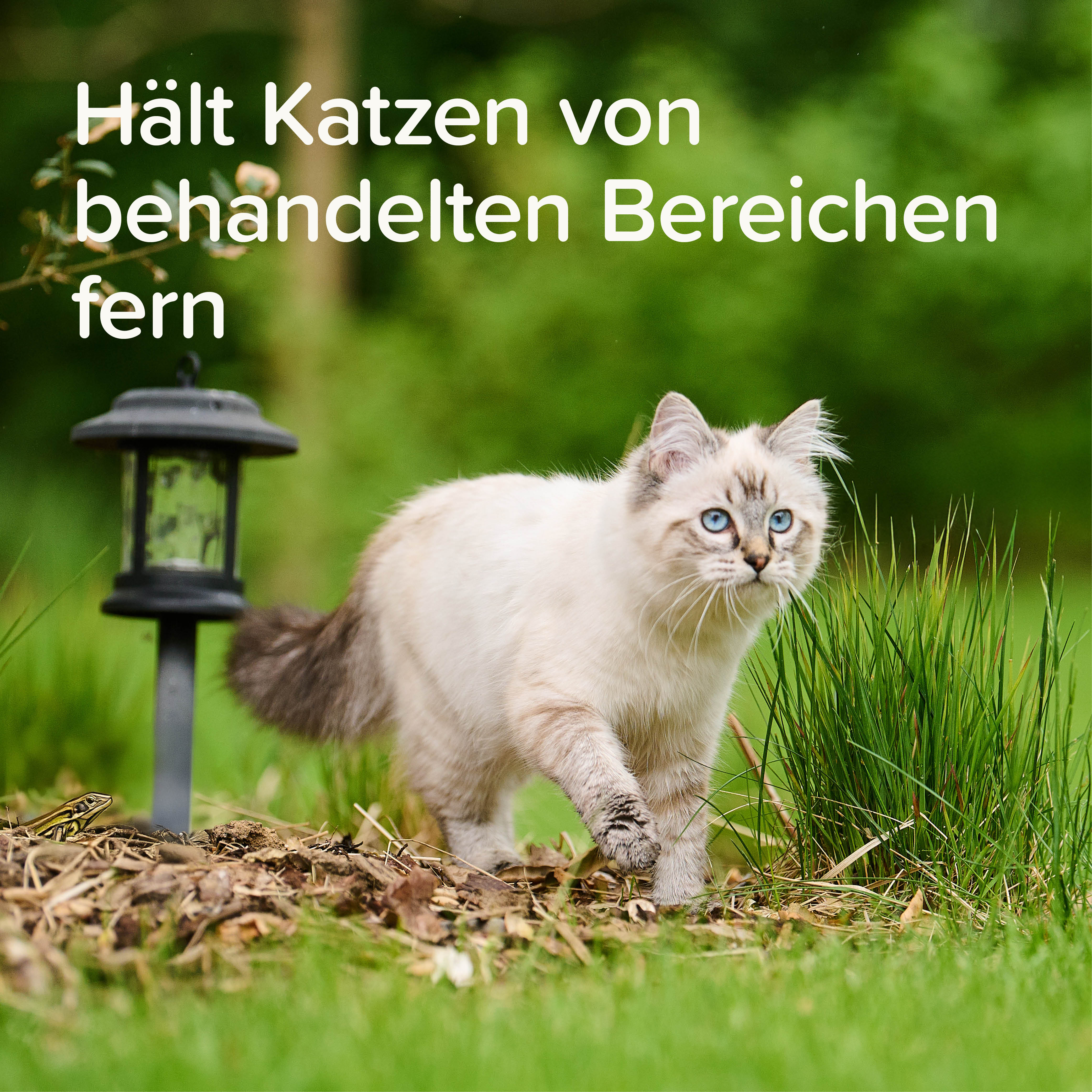 KEEP OFF Abwehrspray für Katzen, 500ml