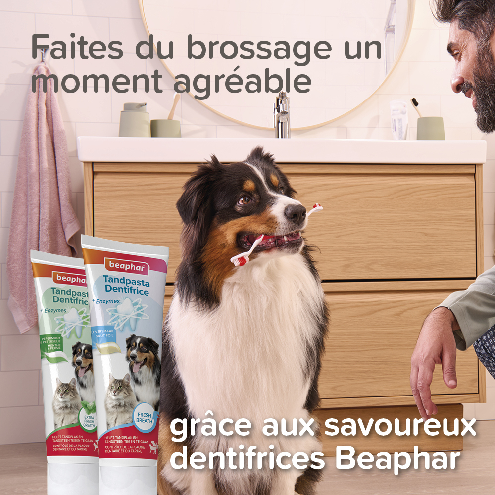 Doigtier dentaire – 2 unités