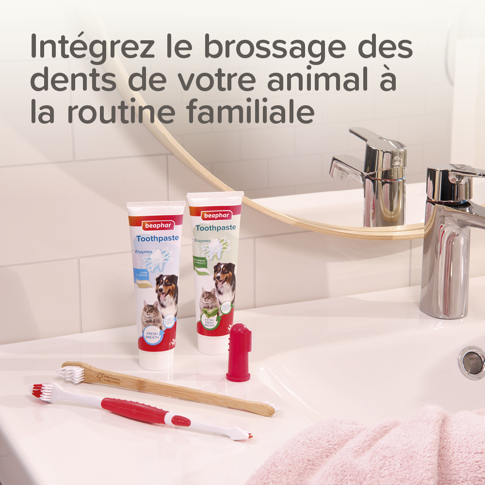 Brosse à dents en bambou
