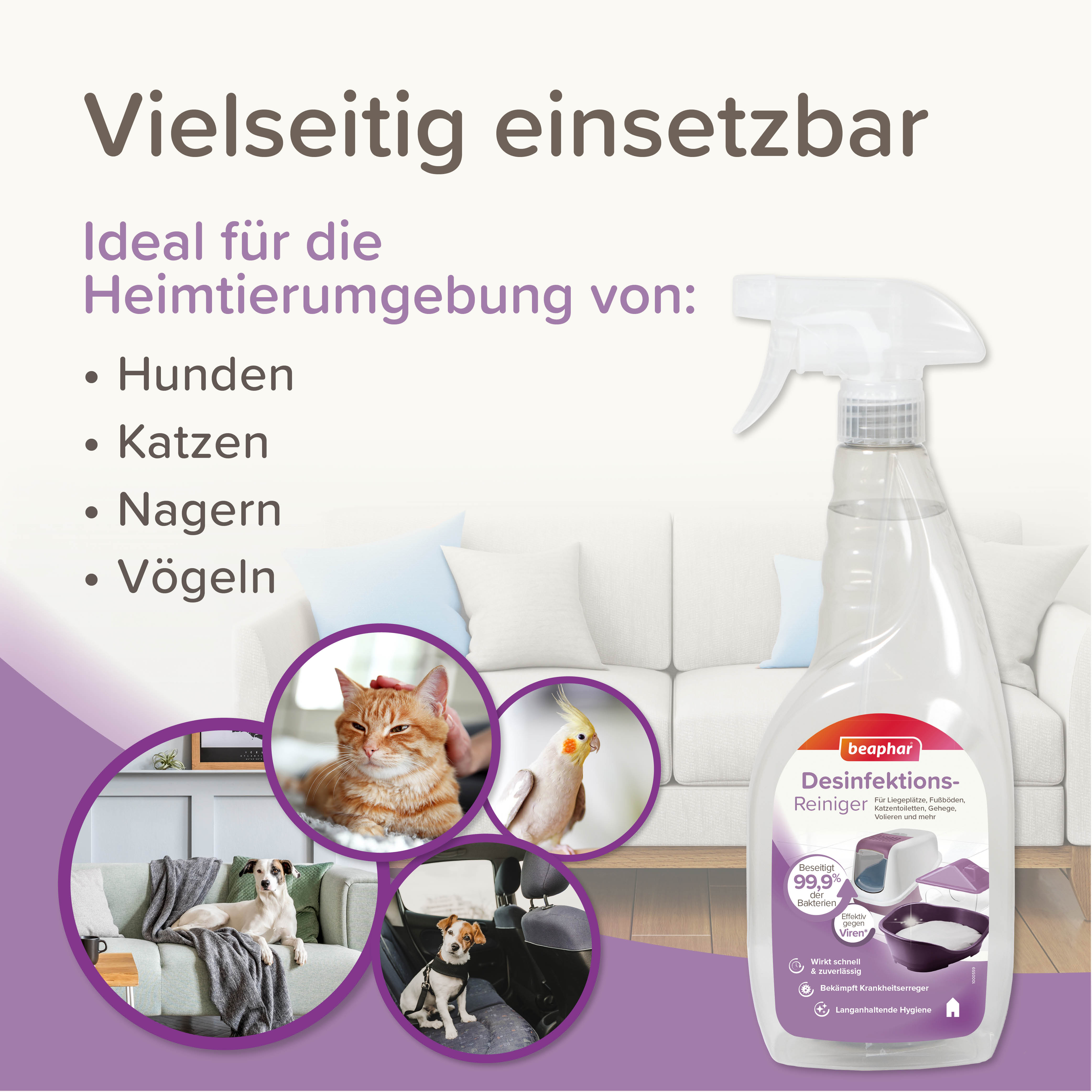 Desinfektions-Reiniger, 750ml
