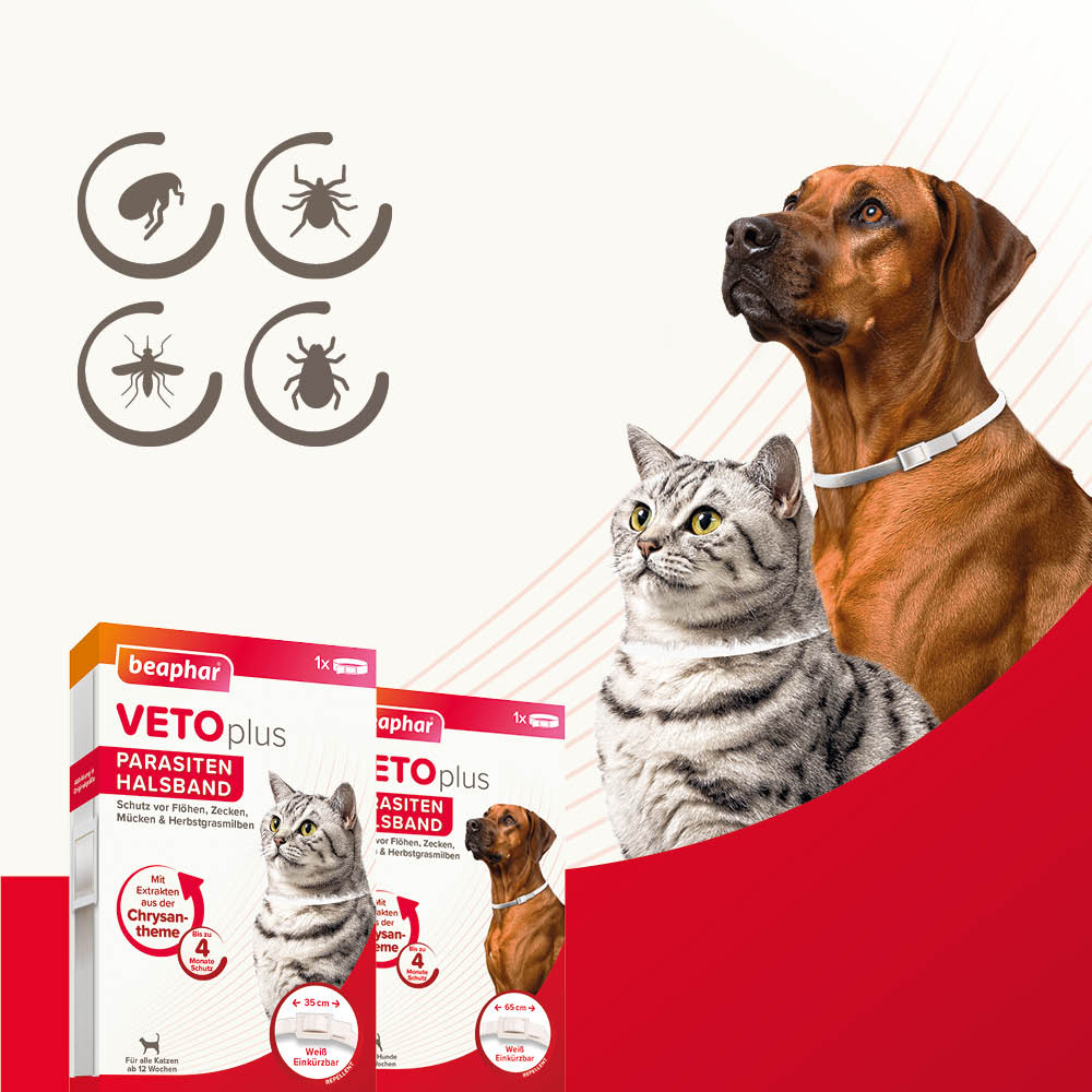 VETOplus Parasiten Halsband Weiß 35cm, Katze