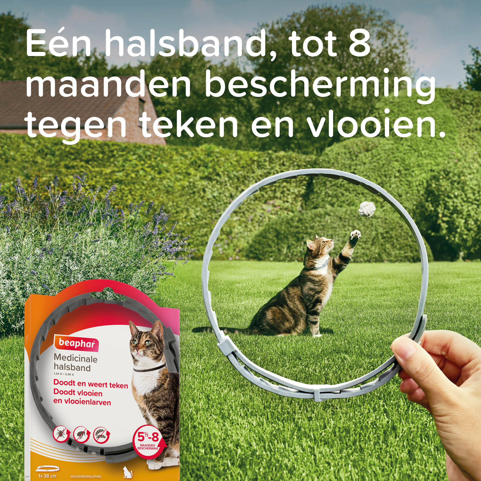 Beaphar Medicinale halsband kat 1st