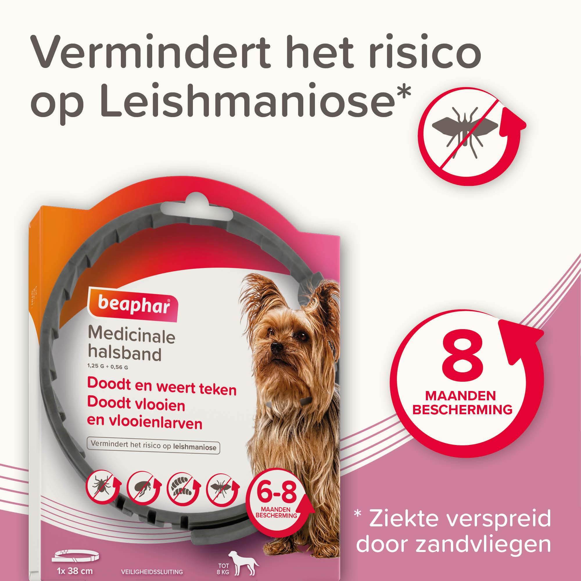 Beaphar Medicinale halsband hond tot 8kg 1st